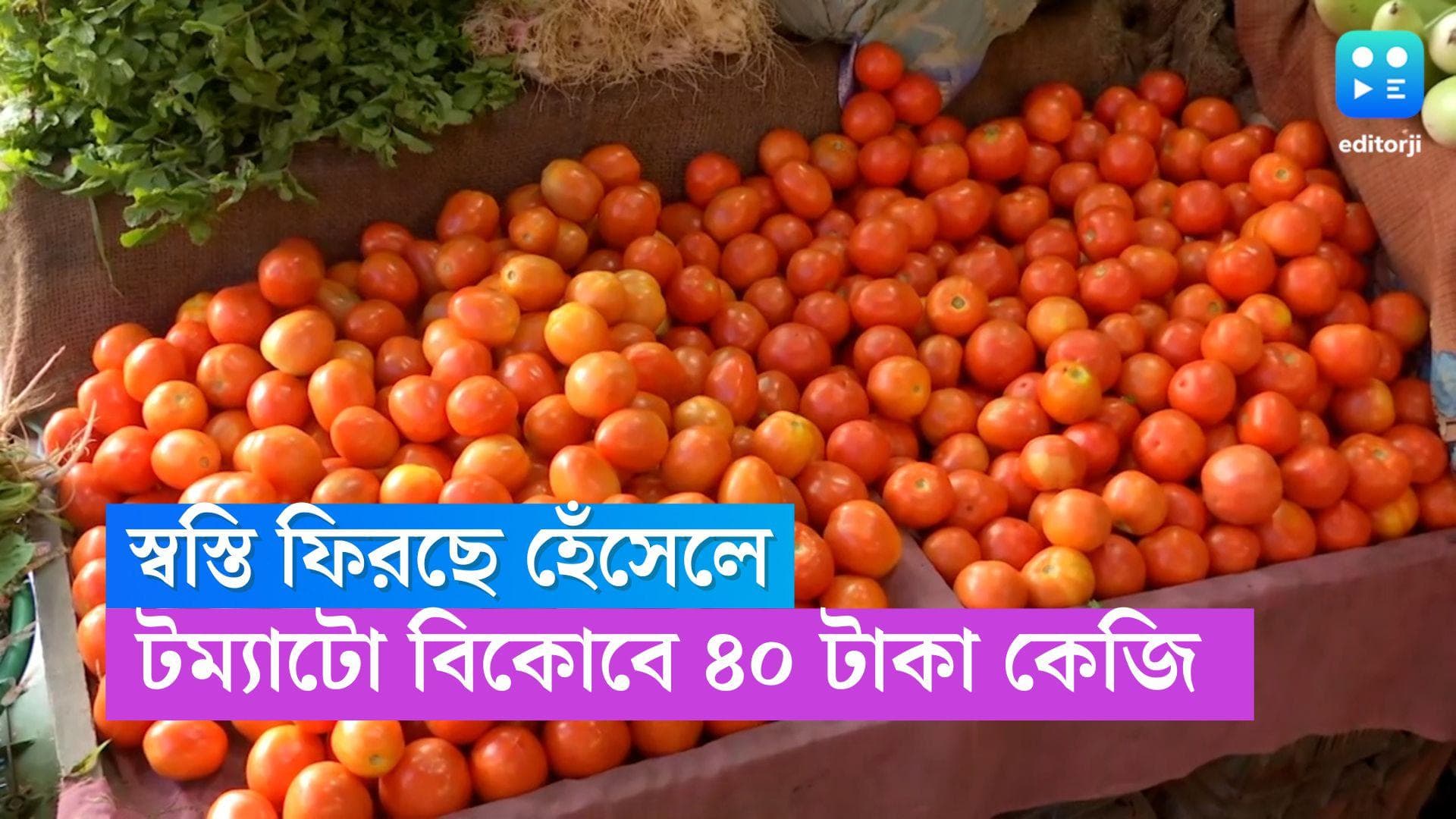 Tomato Price:  স্বস্তি ফিরল হেঁসেলে, এবার টোম্যাটো পাওয়া যাবে ৪০ টাকা কেজি দরে