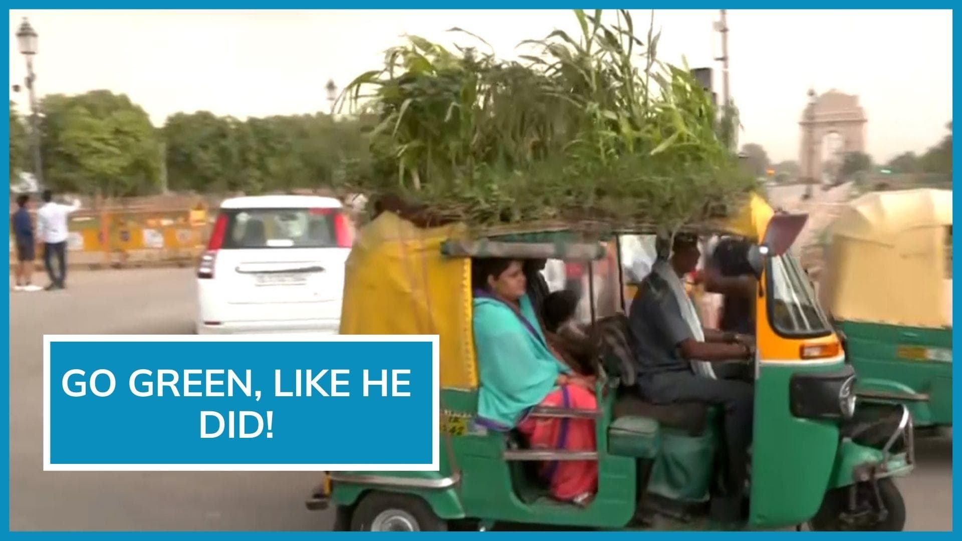 Watch: garden fitted on auto rooftop is the way to beat Delhi heat