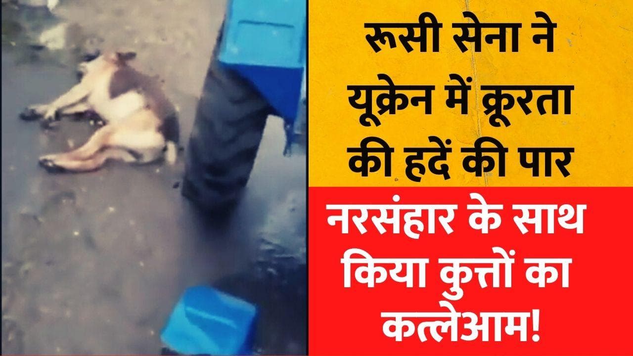 Russia Ukraine War: यूक्रेन में रूस का अमानवीय चेहरा सामने आया, नरसंहार के साथ कुत्तों को भी नहीं बख्शा