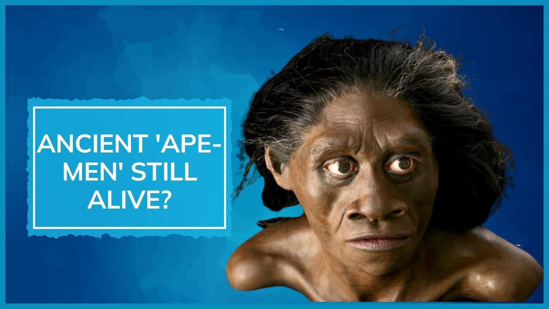 Ancient ape-like human ancestor living in secrecy on Indonesian island? New book on Homo floresiensis