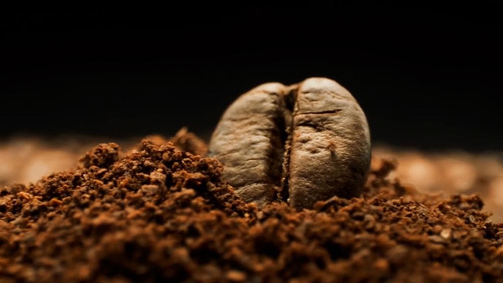 Why the cold weather is making your coffee more expensive? Coffee prices up 60%