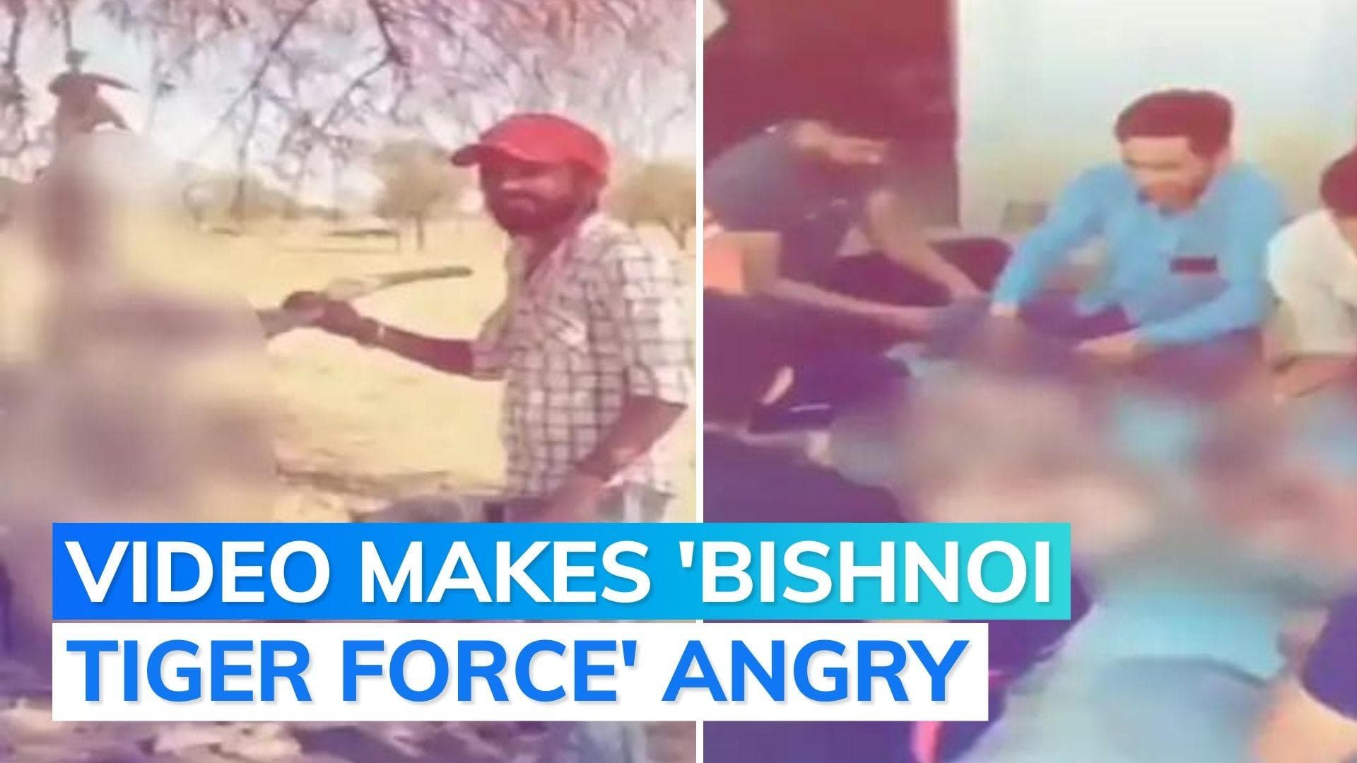 On cam: group eats 'chinkara' meat with gazelle hanging from tree; protests erupt