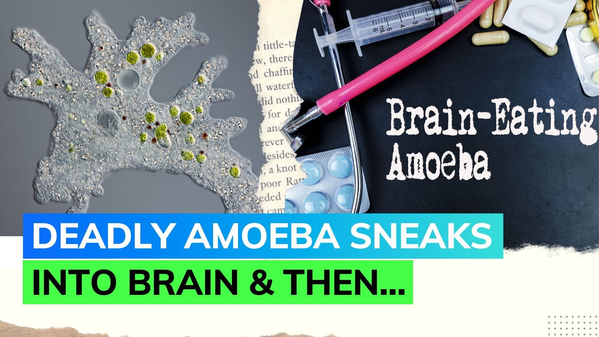 What is the 'brain-eating amoeba'? US man dies from rare disease