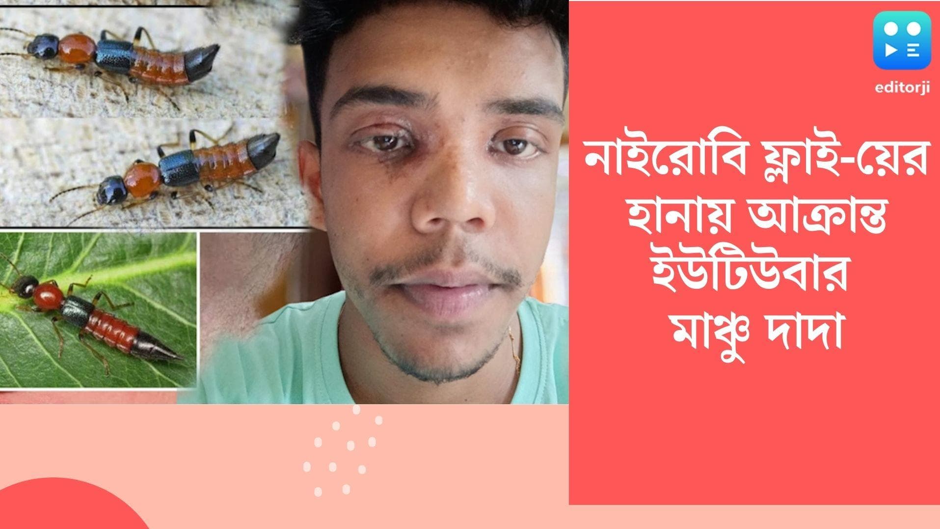 Manchu Dada: পাহাড় ছেড়ে সমতলে হানা নাইরোবি ফ্লাই-য়ের, আক্রান্ত জনপ্রিয় ইউটিউবার নিহার বাগচী