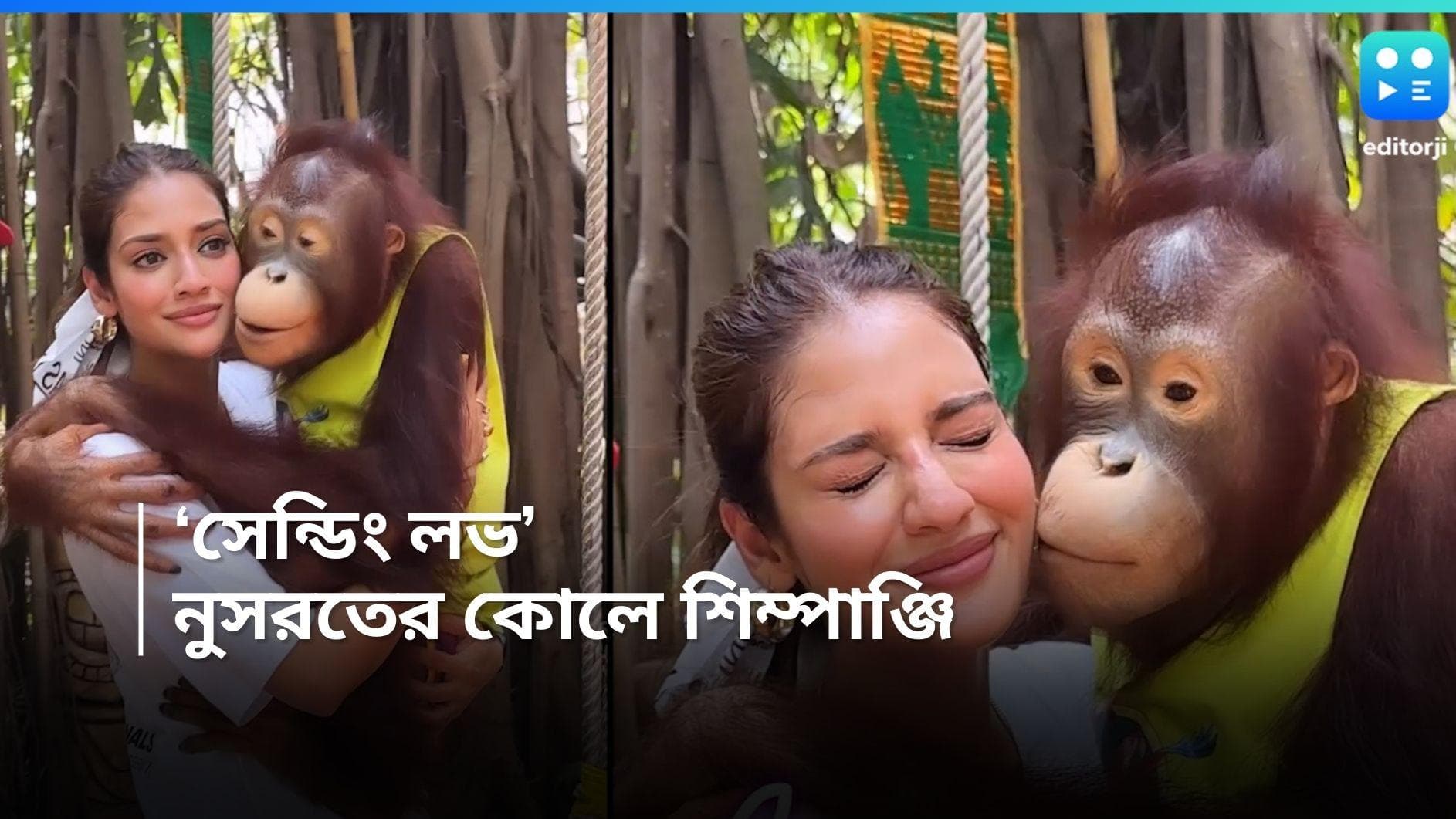 Nusrat Jahan: নুসরতের গালে আদরের চুম্বন, শিম্পাঞ্জিকে কোলে নিয়ে ভালবাসা বিলোলেন নায়িকা 