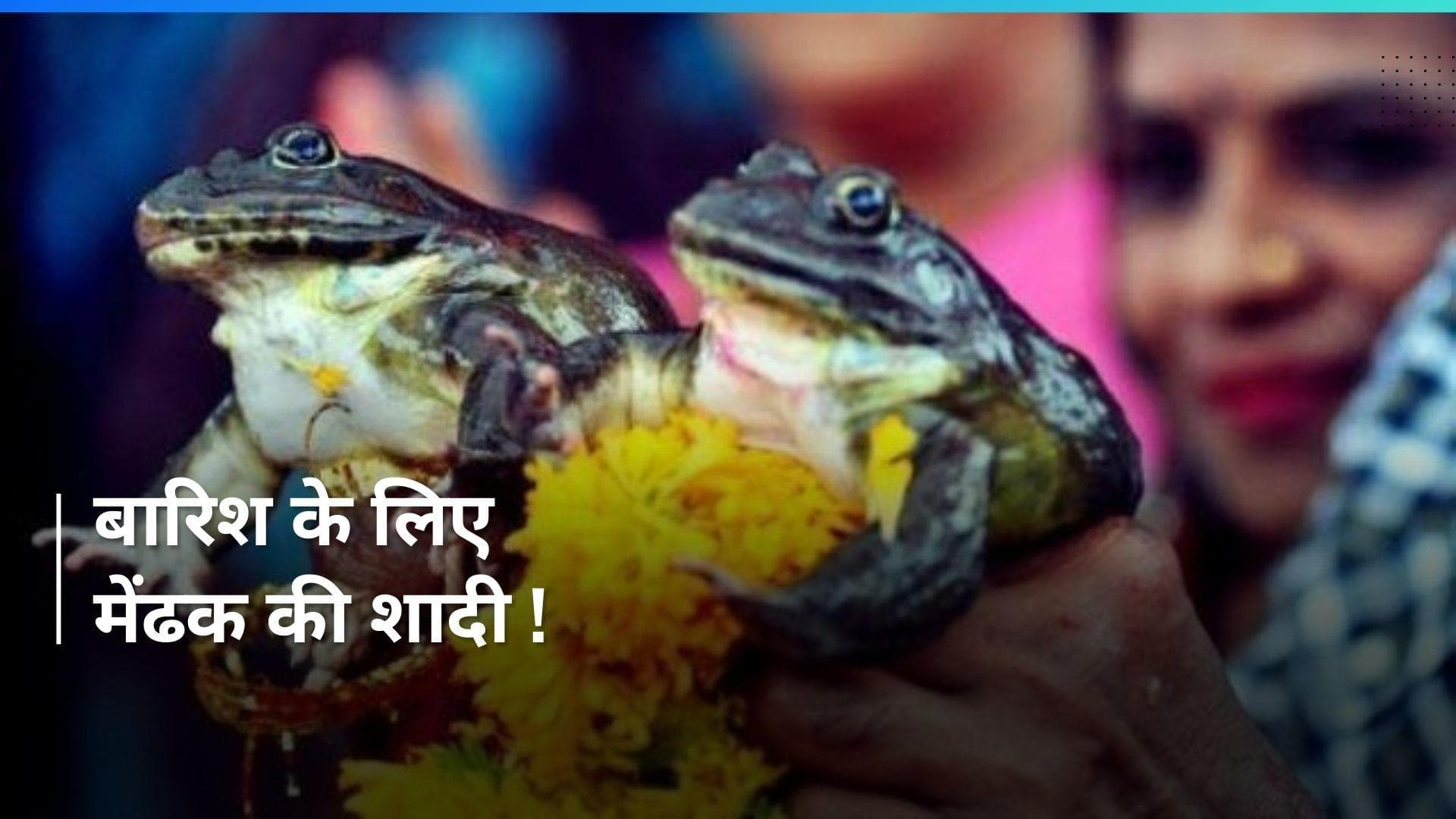 Varanasi में मेंढक-मेंढकी की कराई गई शादी...जानें बारिश से क्या है इसका कनेक्शन