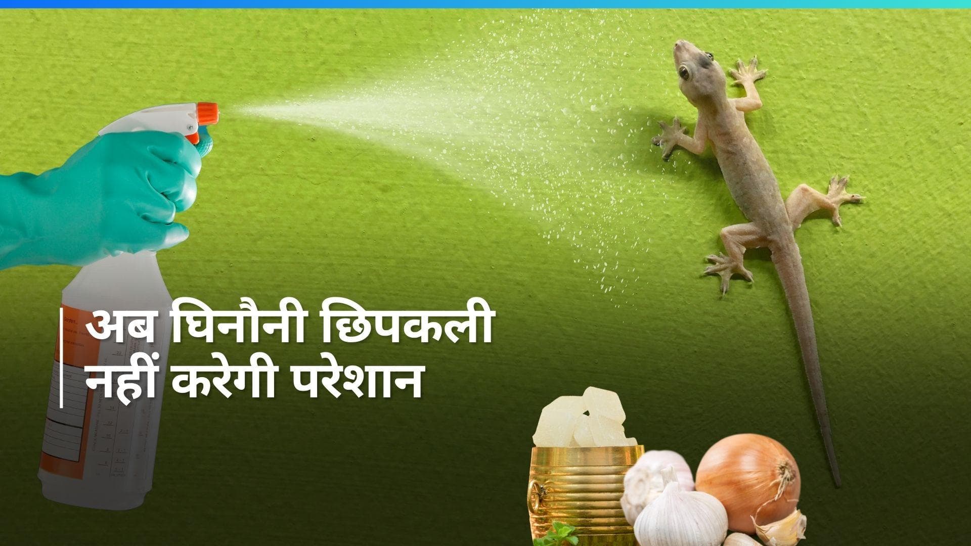 Lizards Repellent: छिपकली ने घर में मचा रखा है आतंक? किचन की 6 चीज़ों से भगाएं