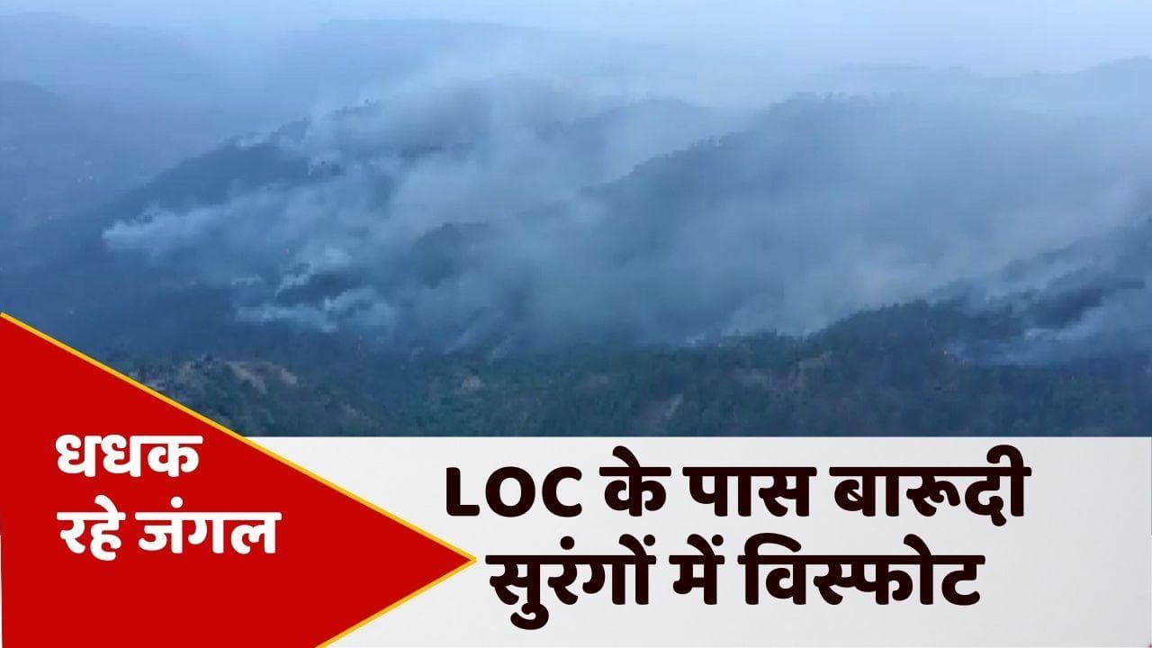 Jammu and Kashmir: पुंछ में मेंढर सेक्टर के जंगल में लगी आग, बारूदी सुरंगों में विस्फोट 