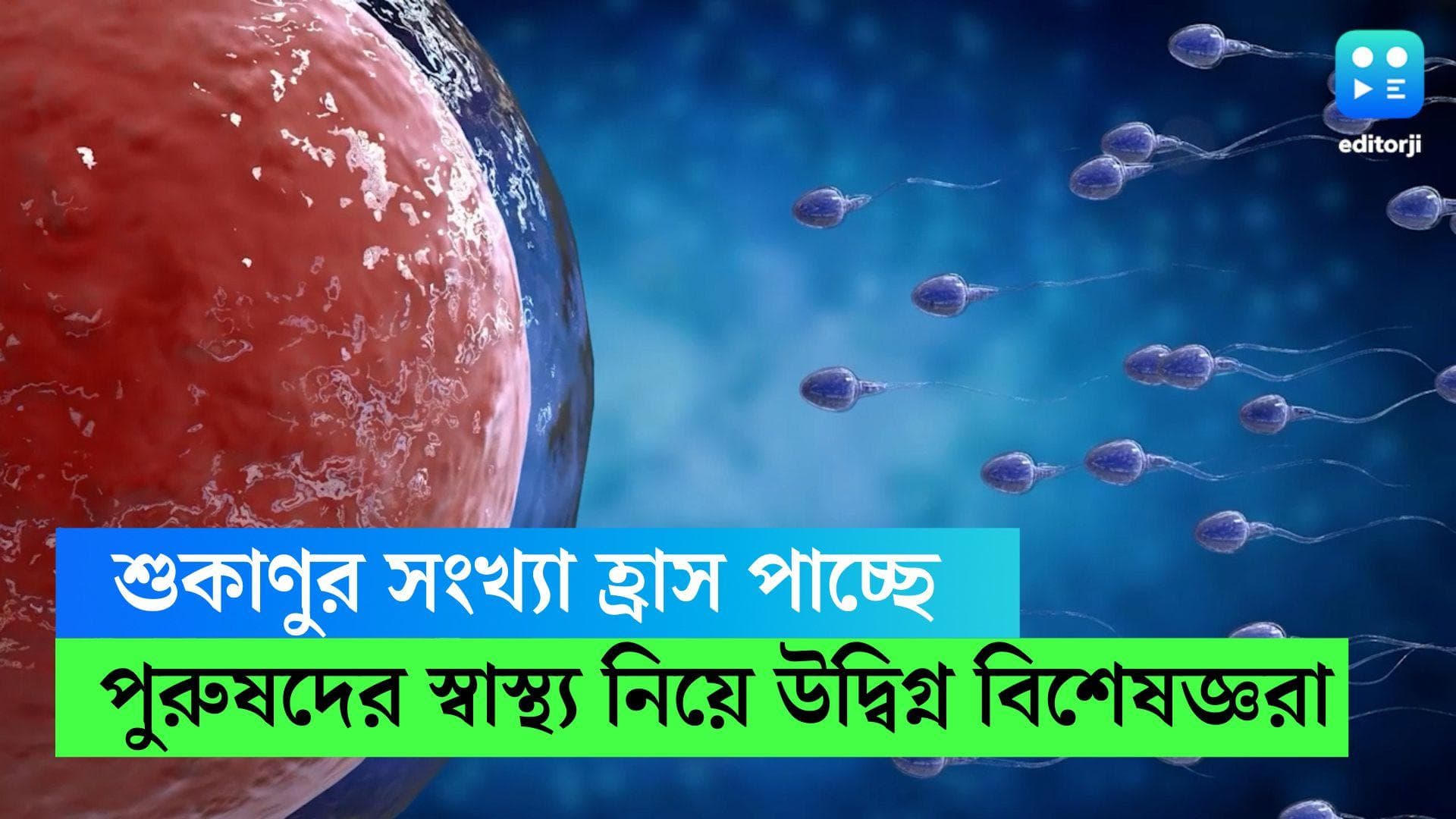 International Men's Day : পুরুষদের শুক্রাণু সংখ্যা কমছে ব্যপকহারে, প্রজননে প্রভাব ! বলছে গবেষণা