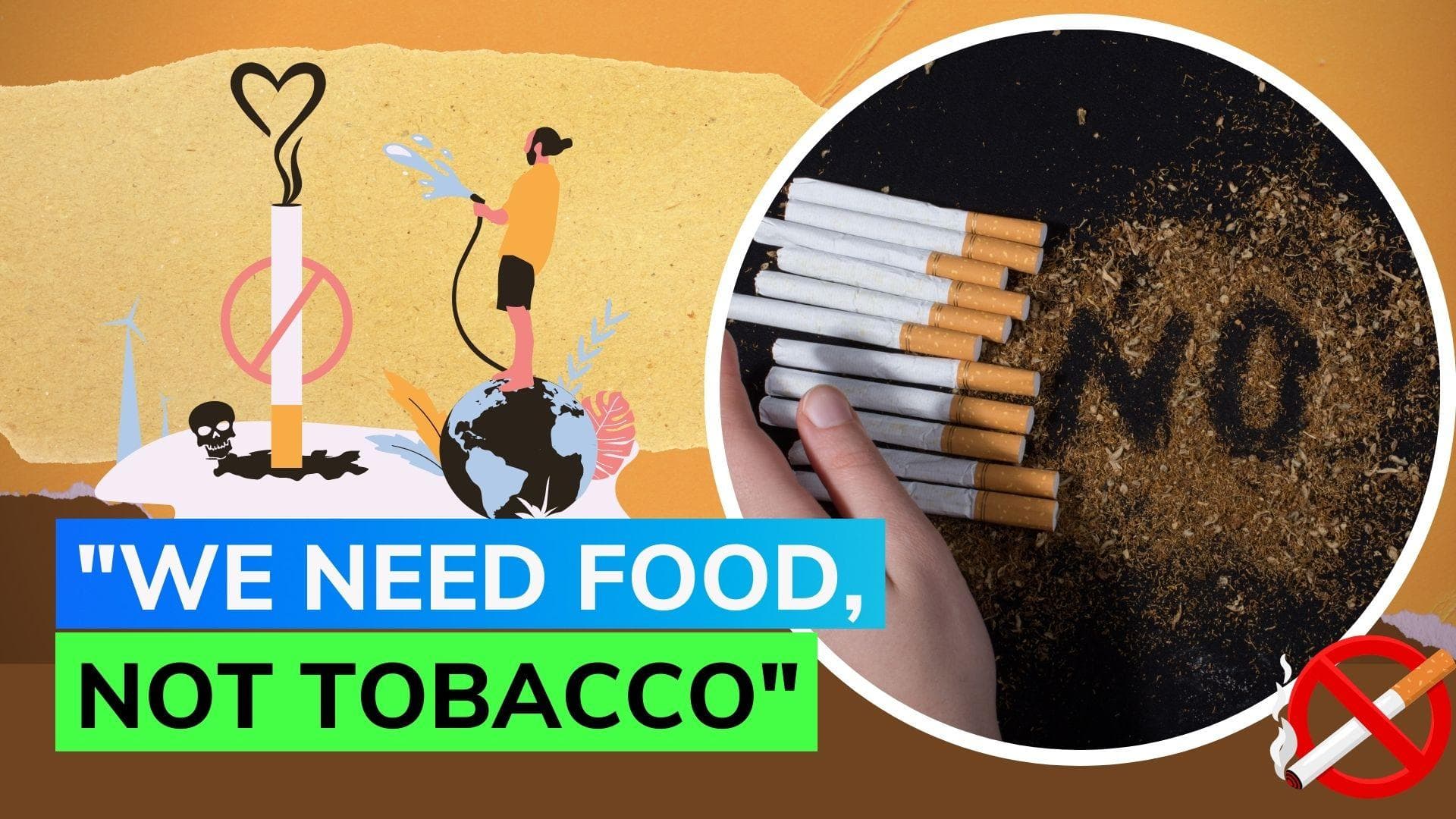 World No Tobacco Day 2023: Not only health but tobacco harms environment too; know how