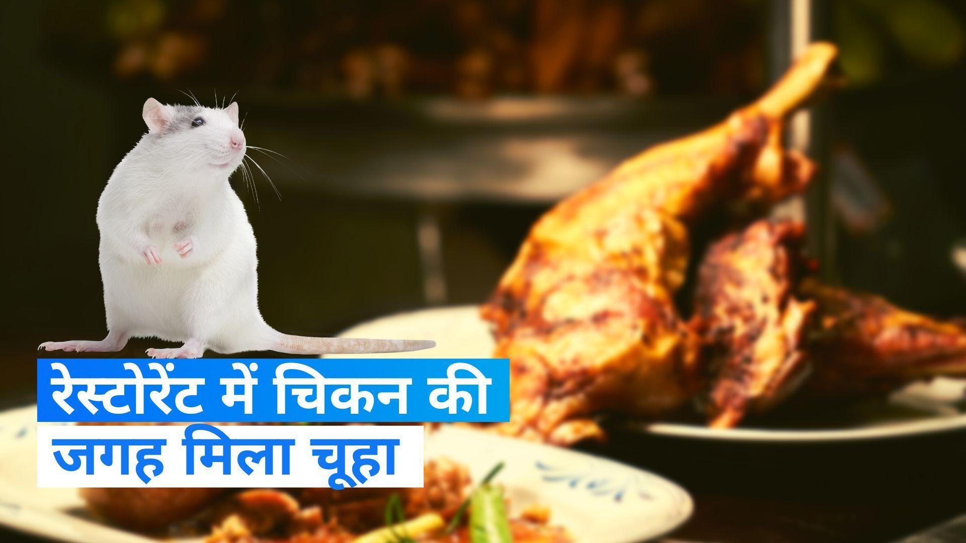 Mumbai: आलीशान रेस्टोरेंट के खाने में मिला मरा चूहा, मैनेजर और शेफ के खिलाफ केस दर्ज 