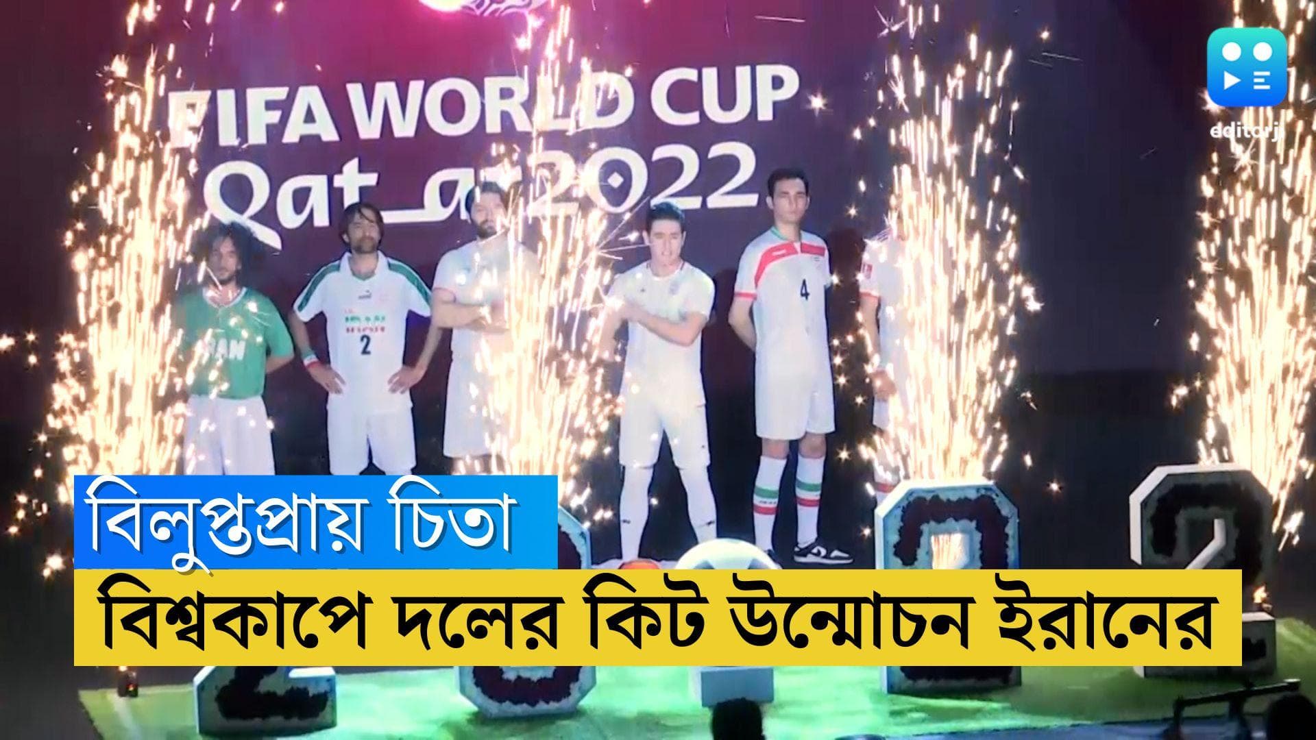 Iran: বিশ্বকাপে দলের কিটে বিলুপ্তপ্রায় চিতা, আন্তর্জাতিক নয় দেশের ব্র্যান্ডেই ভরসা ইরানের