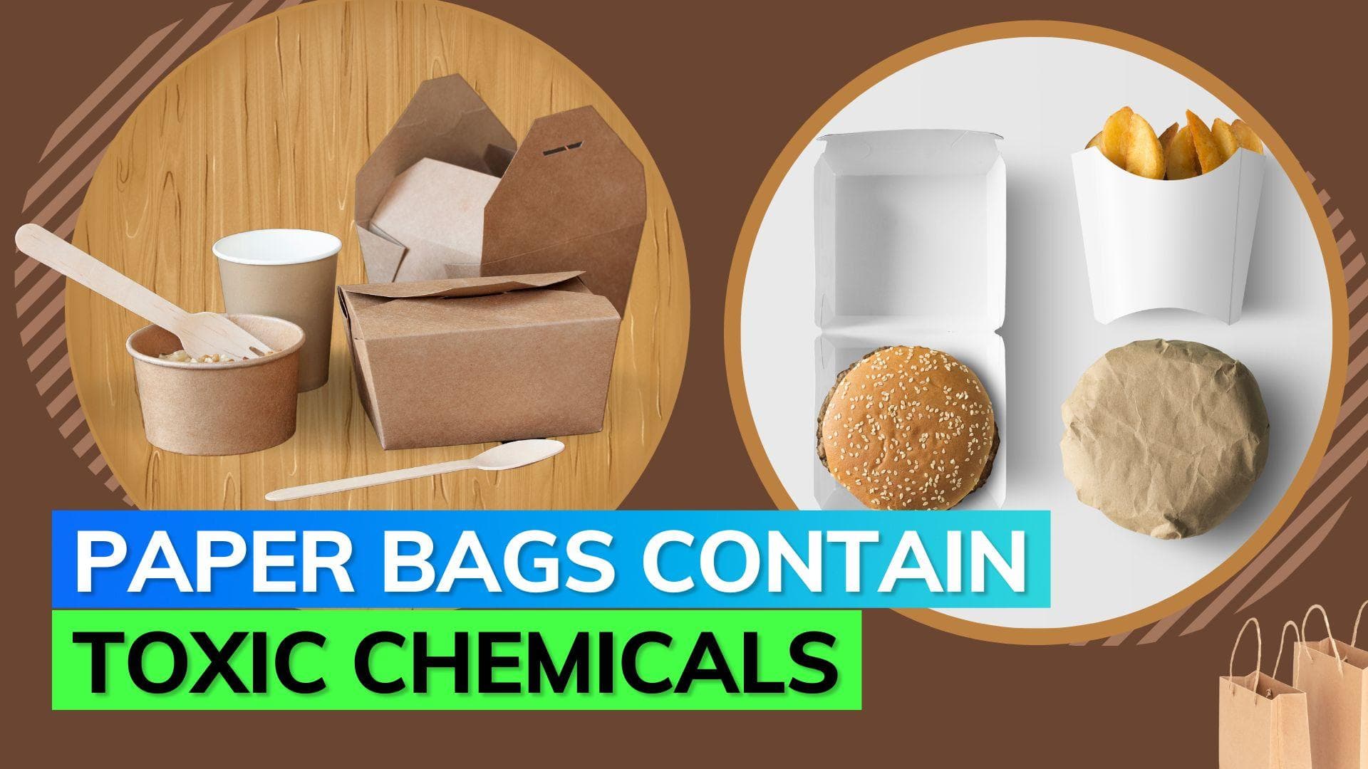 Food packaging contains toxic chemicals that may increase the risk of cancer: Study