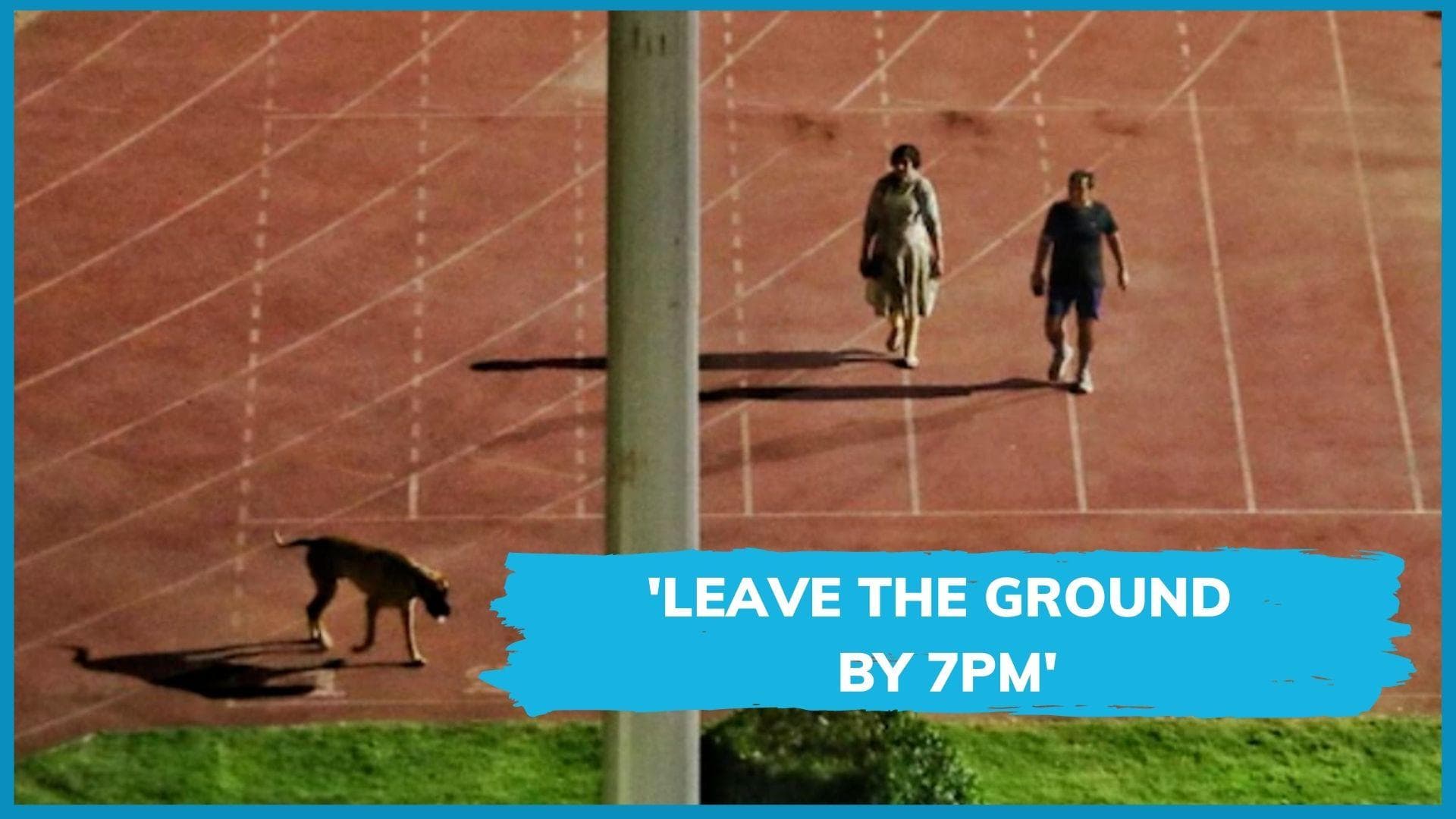 'Gross misuse of power': practice session of athletes truncated so IAS officer can walk dog: report