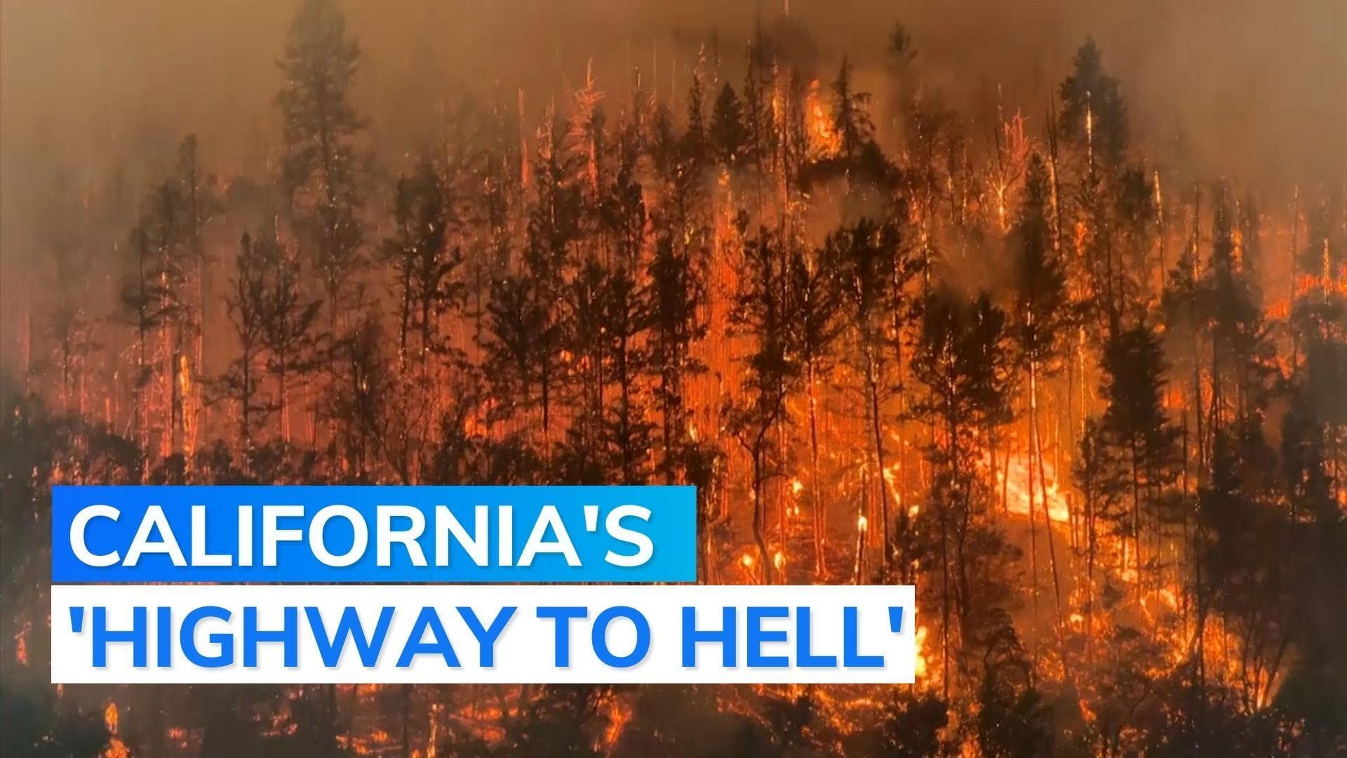 US: fast moving fire burns forest along California highway