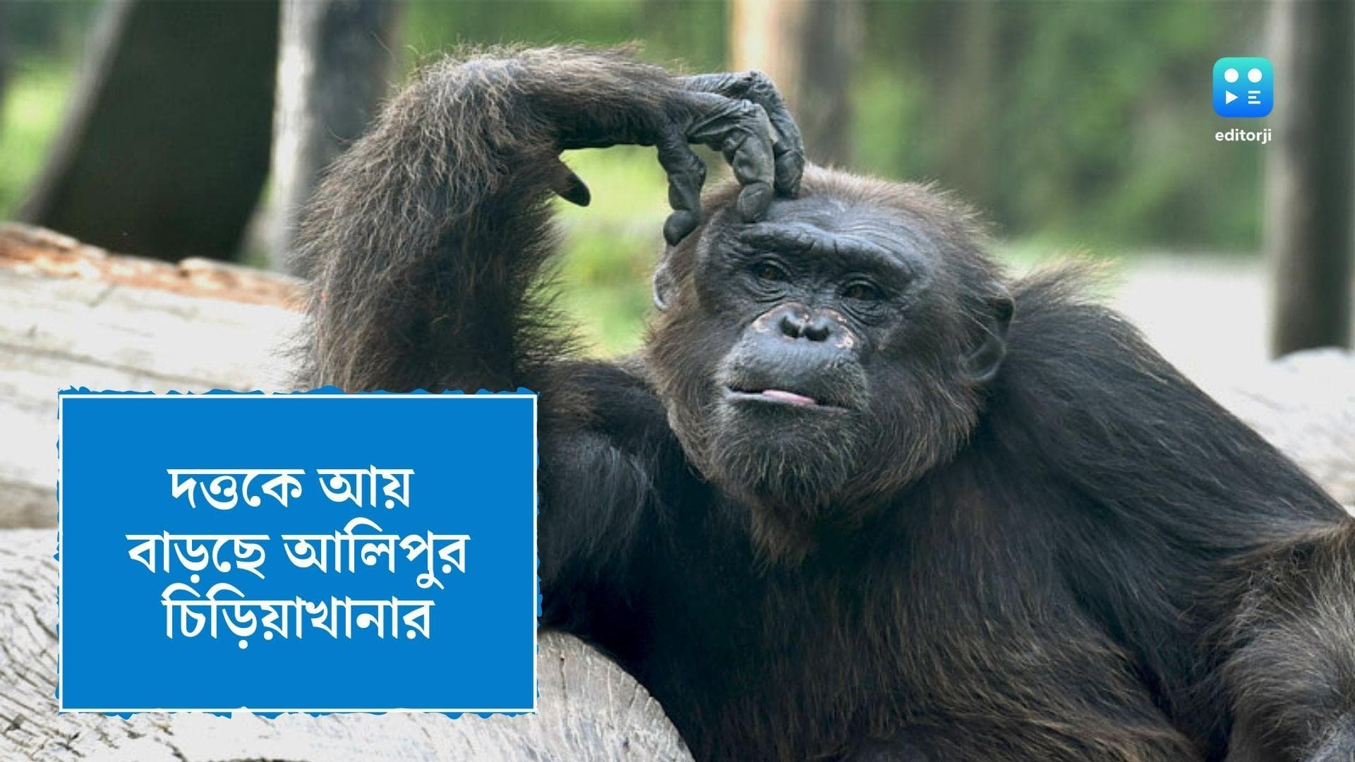 Alipore Zoo News : ৯০-এর বেশি সদস্যকে দত্তক, গত ৬ মাসে লক্ষাধিক টাকা আয় আলিপুর চিড়িয়াখানার