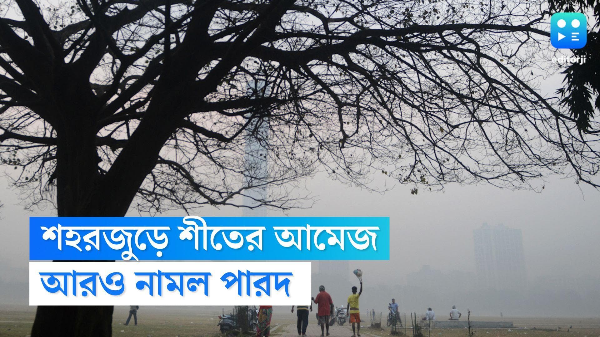 West Bengal Weather Update : উত্তুরে হাওয়ার শিরশিরানি,আরও নামল পারদ, শহরজুড়ে শীতের আমেজ 