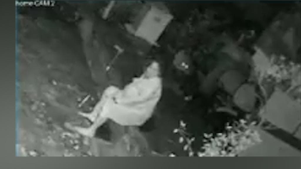 Watch: leopard attacks woman at Mumbai's Aarey, she fights back