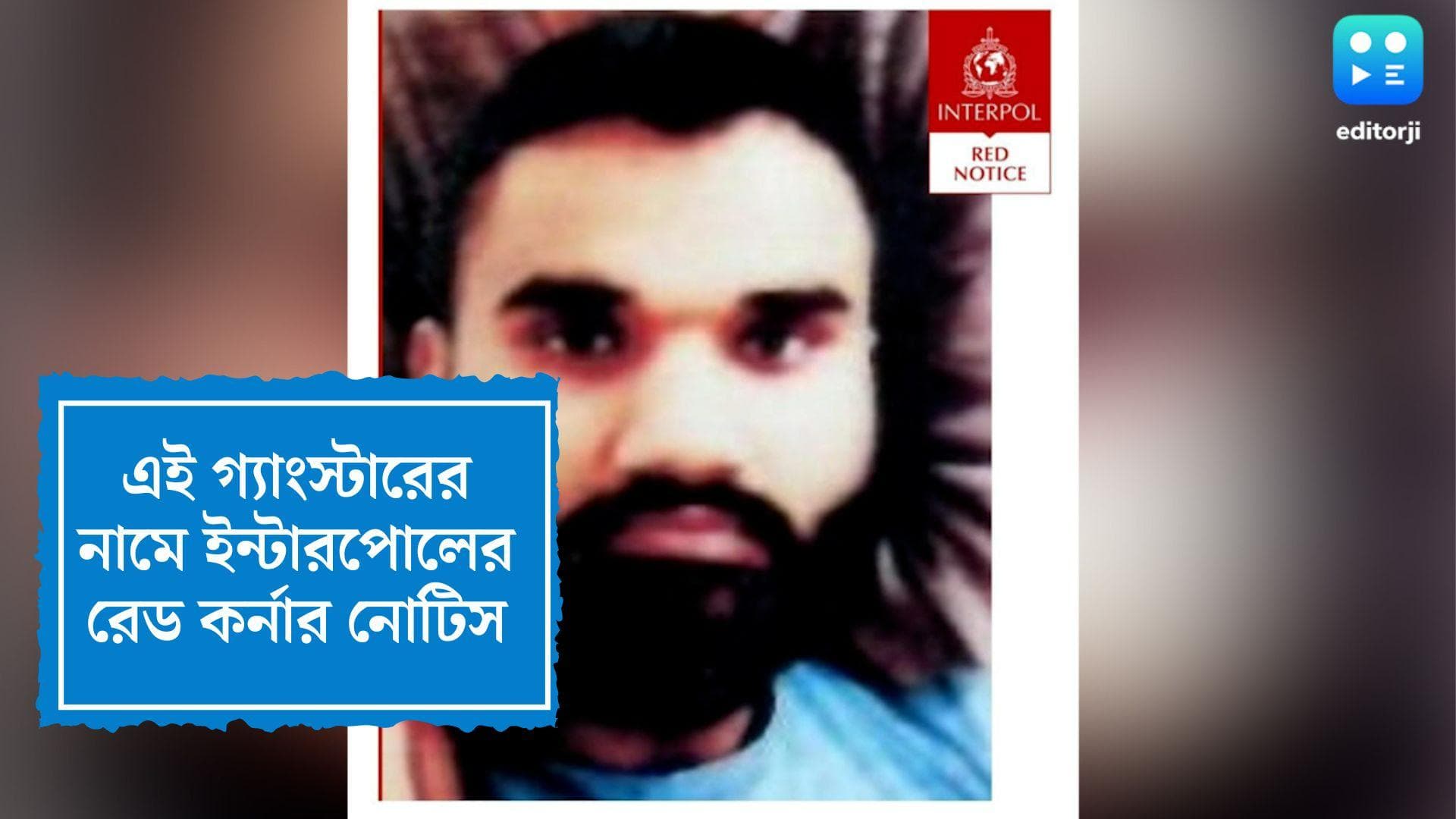 Sidhu Moosewala murder update: গ্যাংস্টার গোল্ডি ব্রারের বিরুদ্ধে 'রেড কর্নার নোটিস' জারি ইন্টারপোলের