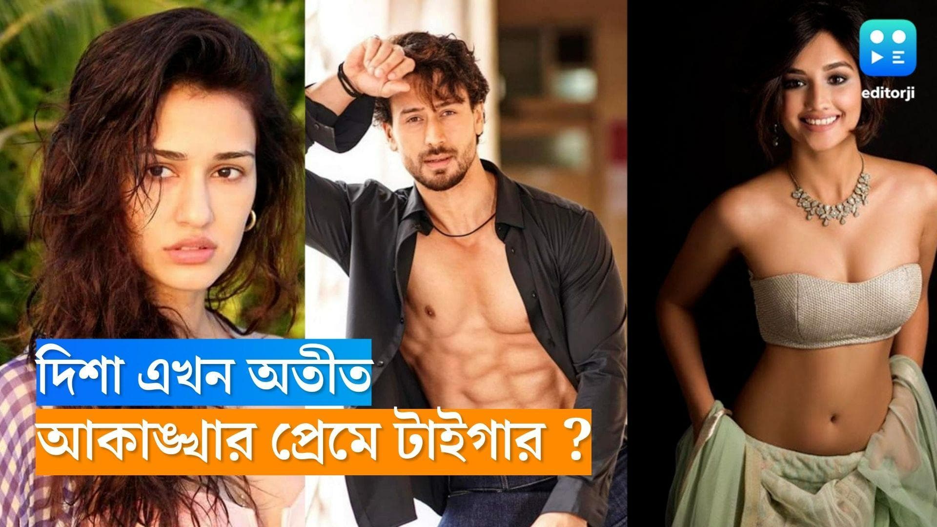 Tiger Shroff : দিশার সঙ্গে বিচ্ছেদ হতেই না হতেই টাইগারের জীবনে নতুন প্রেম! কে সেই নতুন প্রেমিকা?
