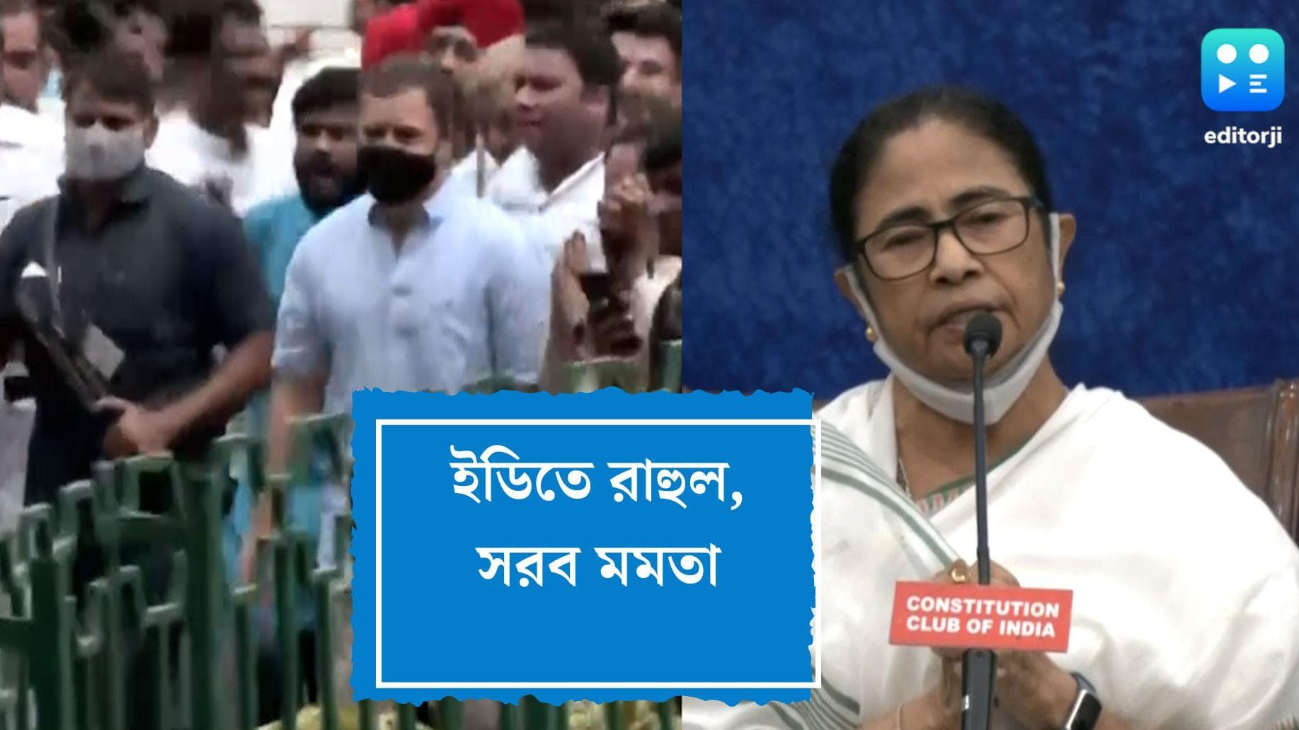 Mamata stands for Rahul: রাহুলকে ঘনঘন ইডি-র তলব, পাশে দাঁড়ালেন মমতা, ফের কাছে আসছে কংগ্রেস-তৃণমূল?