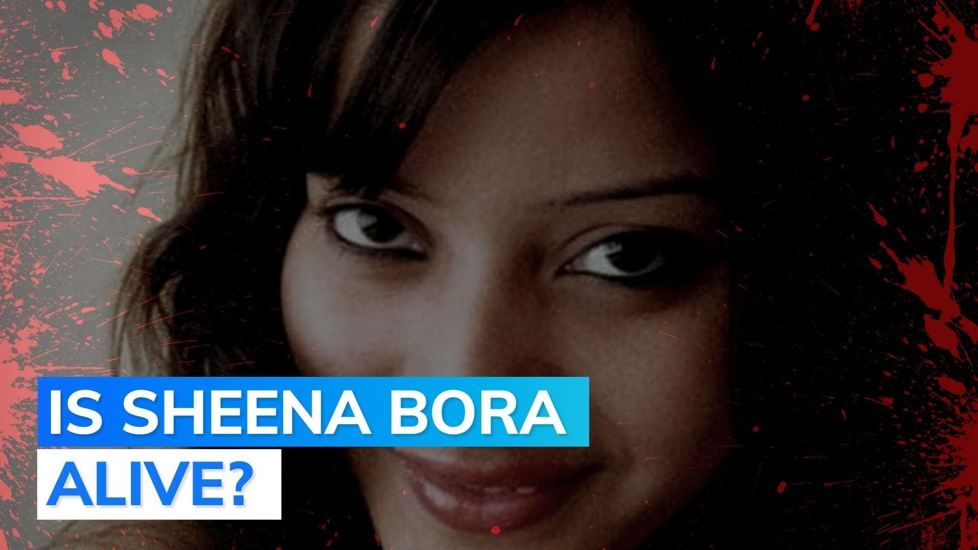 Decade after alleged murder, Sheena Bora's 'lookalike' spotted; Court seeks CCTV to verify claim