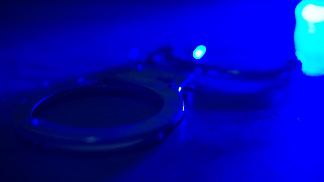 Delhi gangrape: survivor's younger sister also molested, police file second case