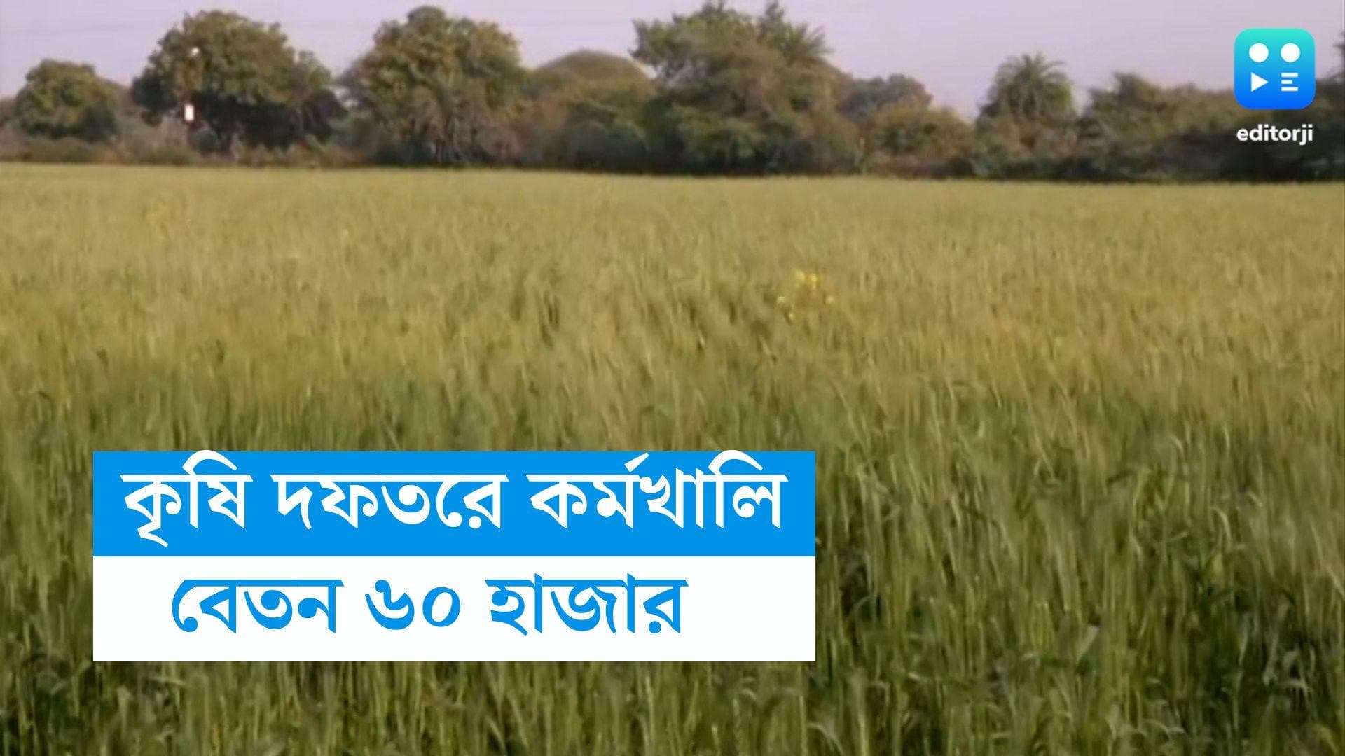 Indian Agriculture Recruitment 2023 : কৃষি দফতরে কর্মখালি, মিলবে মোটা বেতন, চাকরিপ্রার্থীদের জন্য সুখবর
