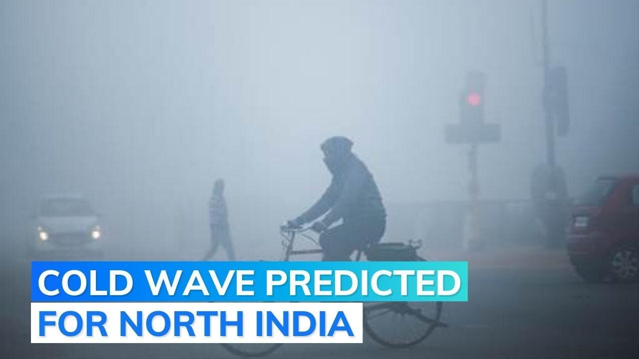 3 killed, 40 injured in fog-related accidents in UP, Haryana