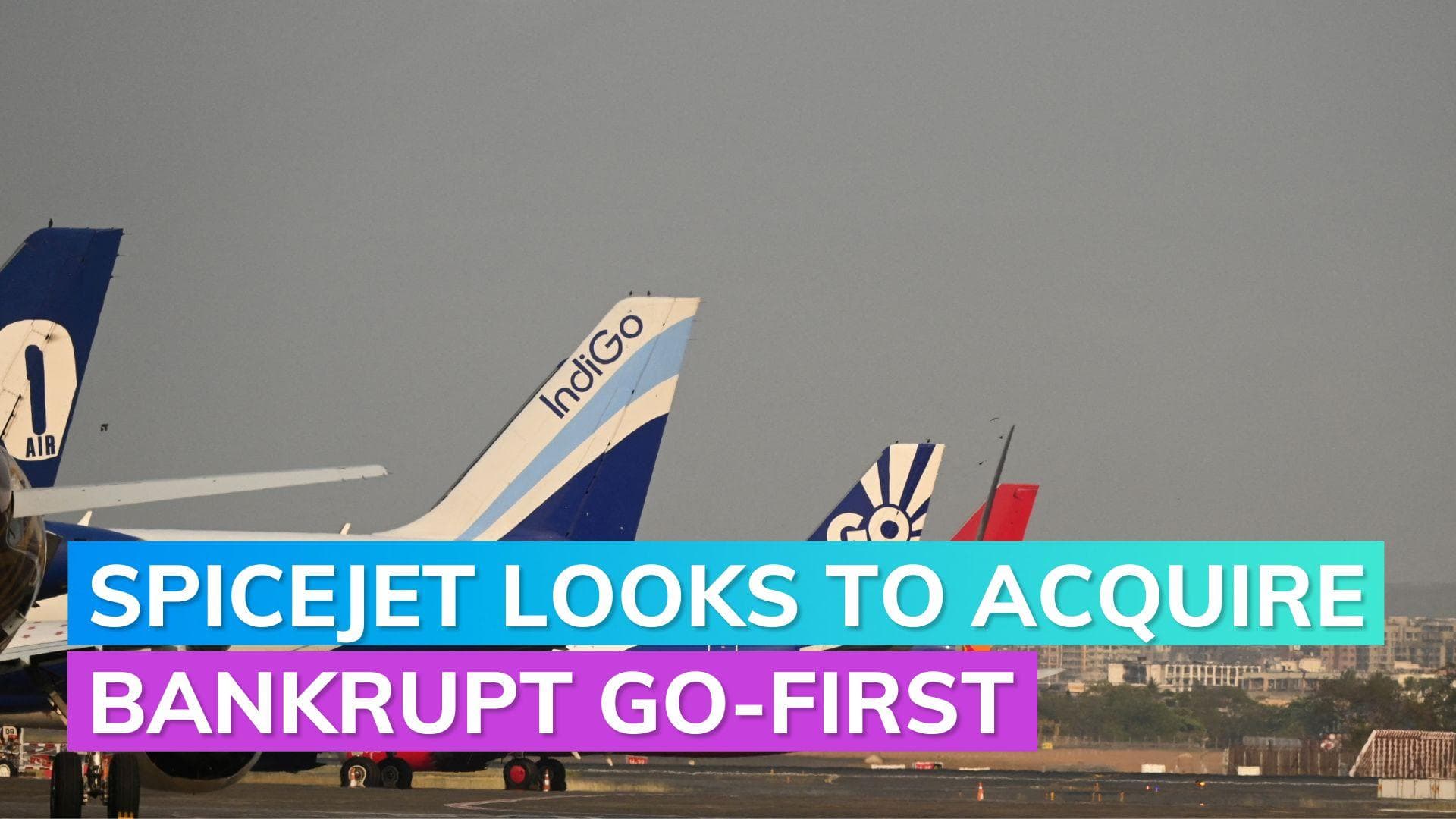 Go First acquisition: SpiceJet says interested in buying bankrupt Go First