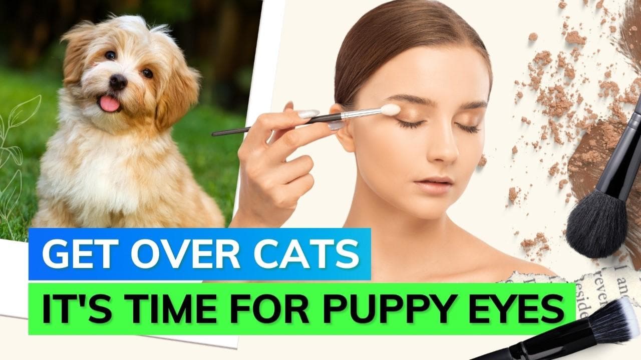 After cats, puppies now enter the beauty world; puppy eyeliner is the new rage