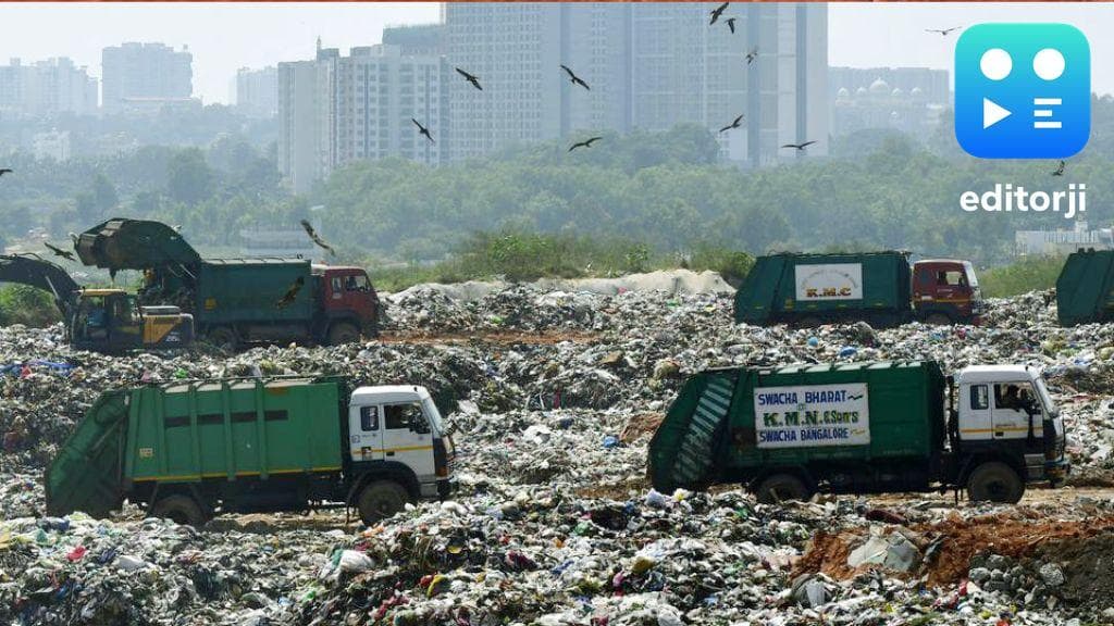 Steer World's unWOOD gains momentum with circular economy grant