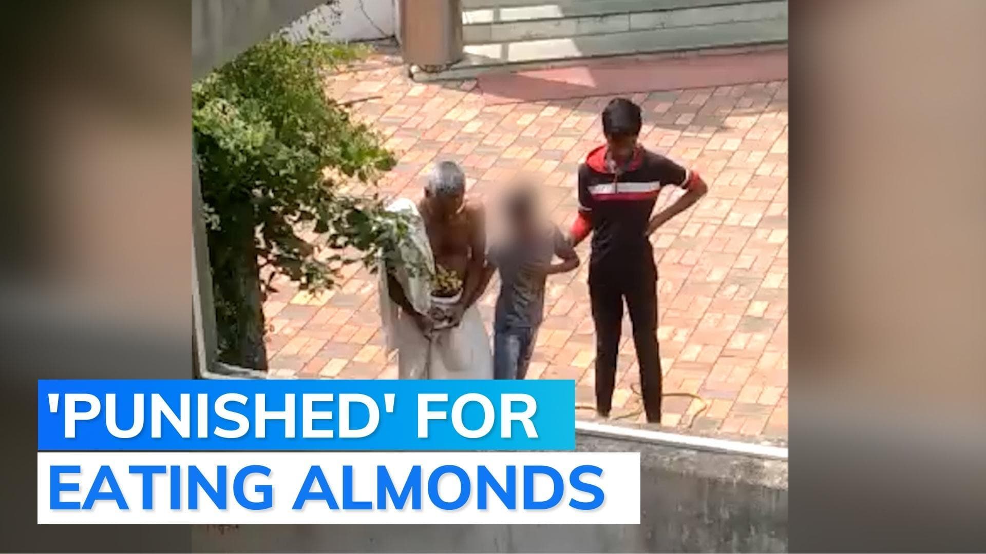 Priest allegedly beats, ties child to tree for eating almonds kept as offering