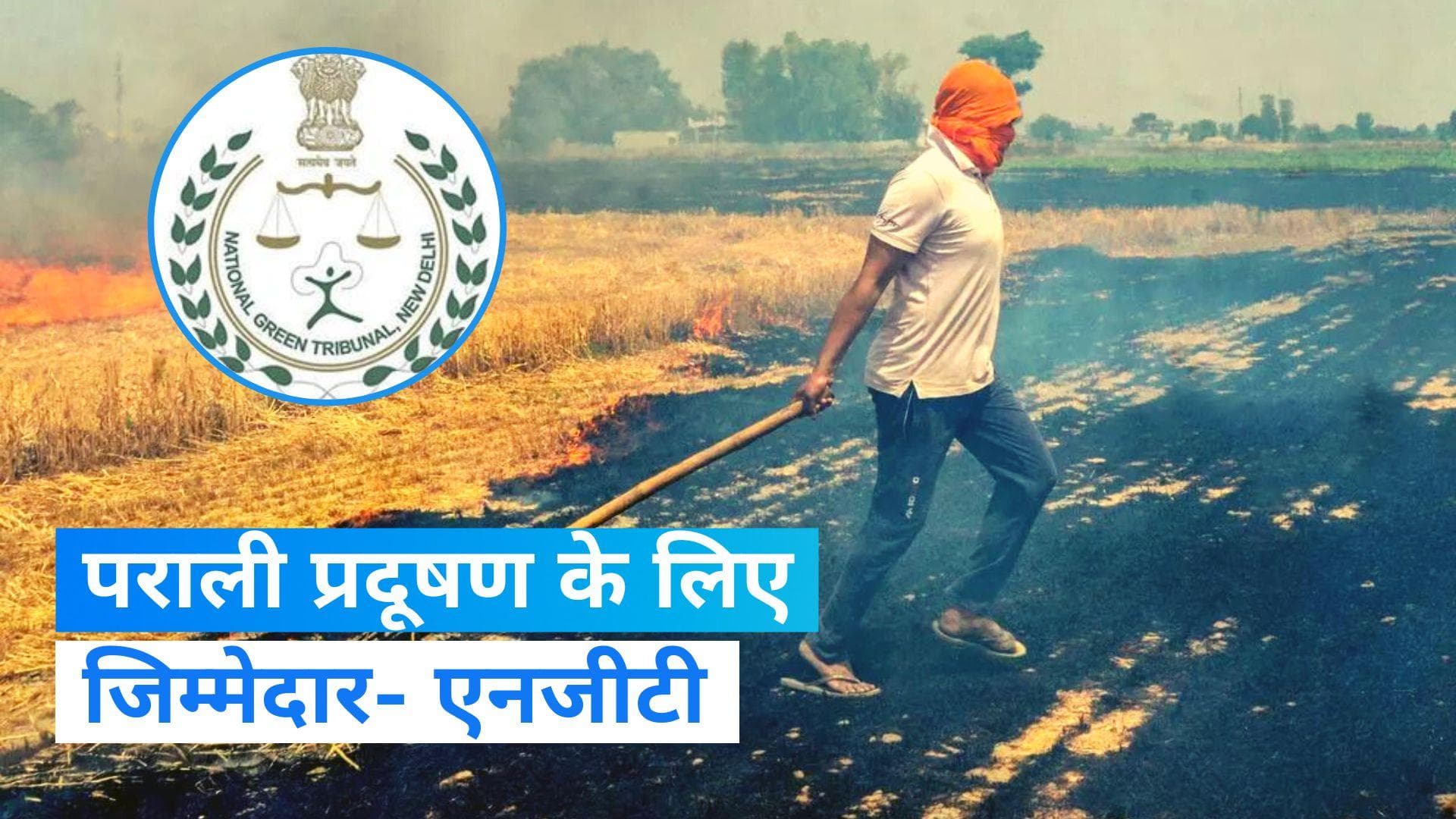 Punjab News: पराली को लेकर पंजाब-हरियाणा समेत इन राज्यों को एनजीटी ने भेजा नोटिस