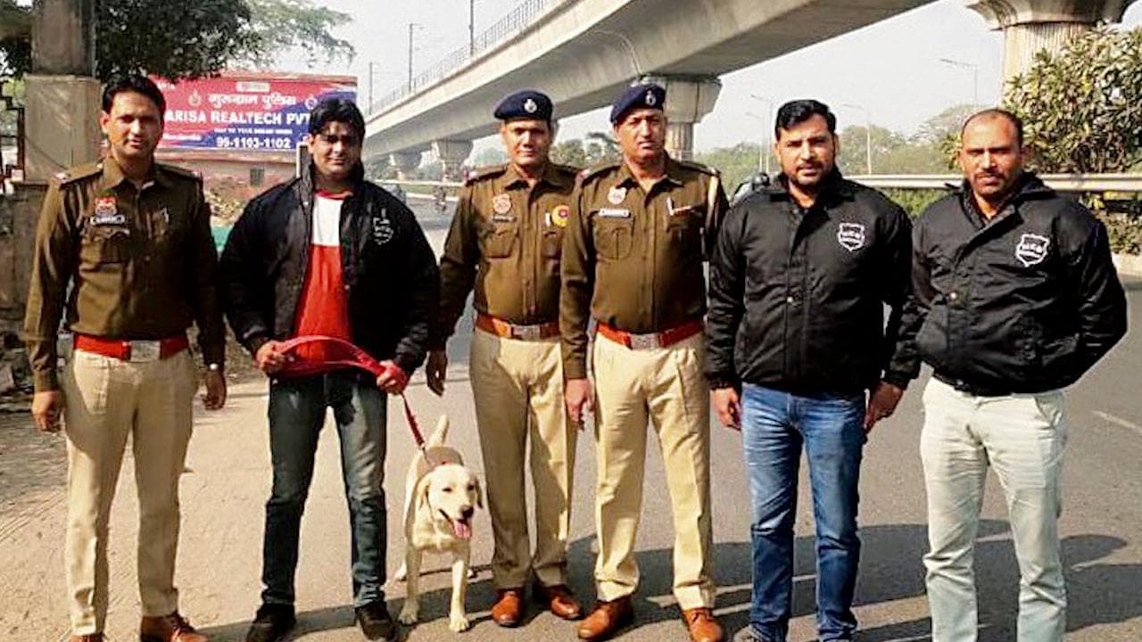 How 2 newly trained dogs helped NCB sniff out drugs in Gurugram