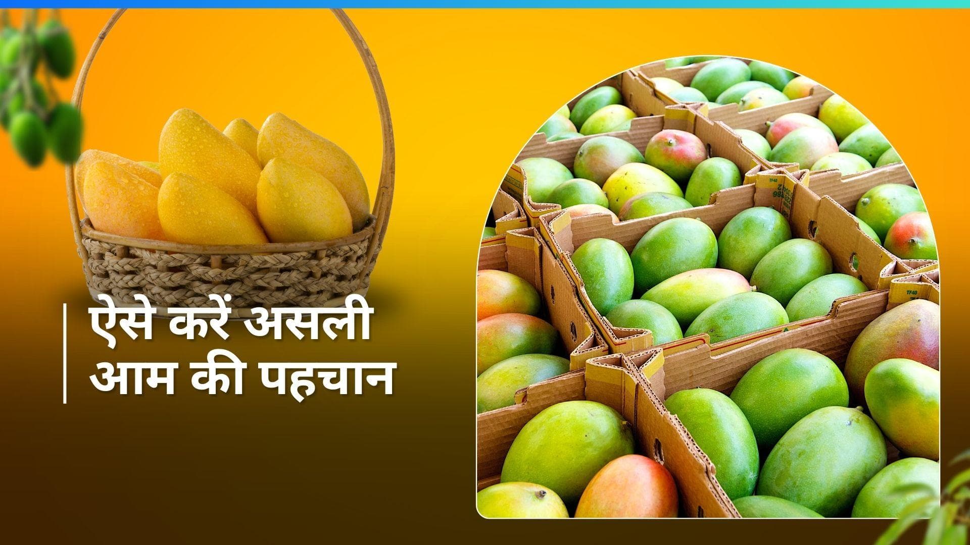 Mango Test: असली-नकली आम को पहचाने के लिए ट्राई करें ये टिप्स, कभी नहीं आएगा बेस्वाद आम
