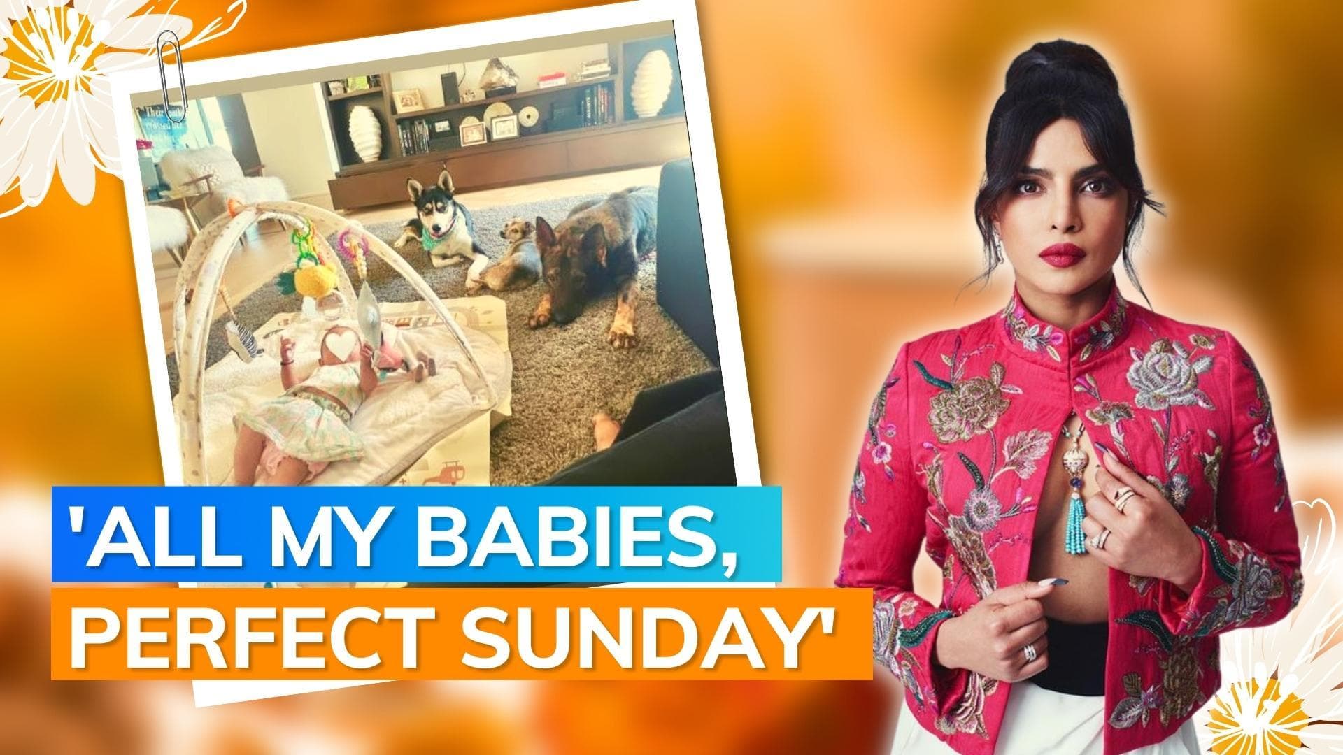 Priyanka Chopra Jonas shares pictures of daughter Maltie Marie enjoying her Sunday with furry friends 