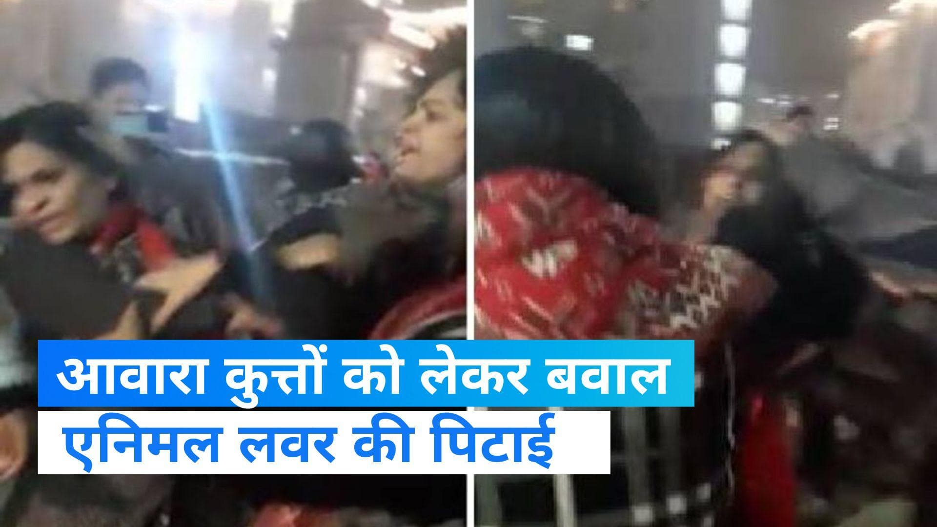 UP News: आवारा कुत्तों को लेकर गाजियाबाद की सोसायटी में हंगामा, विरोध करने पर एनिमल लवर की पिटाई 