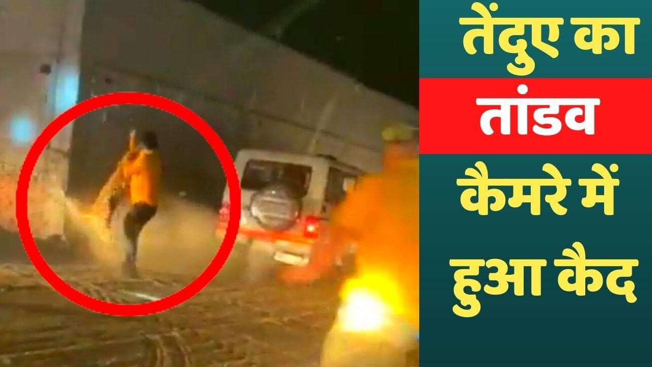 Panipat Leopard Video: कैमरे में कैद हुआ तेंदुए का तांडव, SHO और डॉक्टर सहित तीन घायल