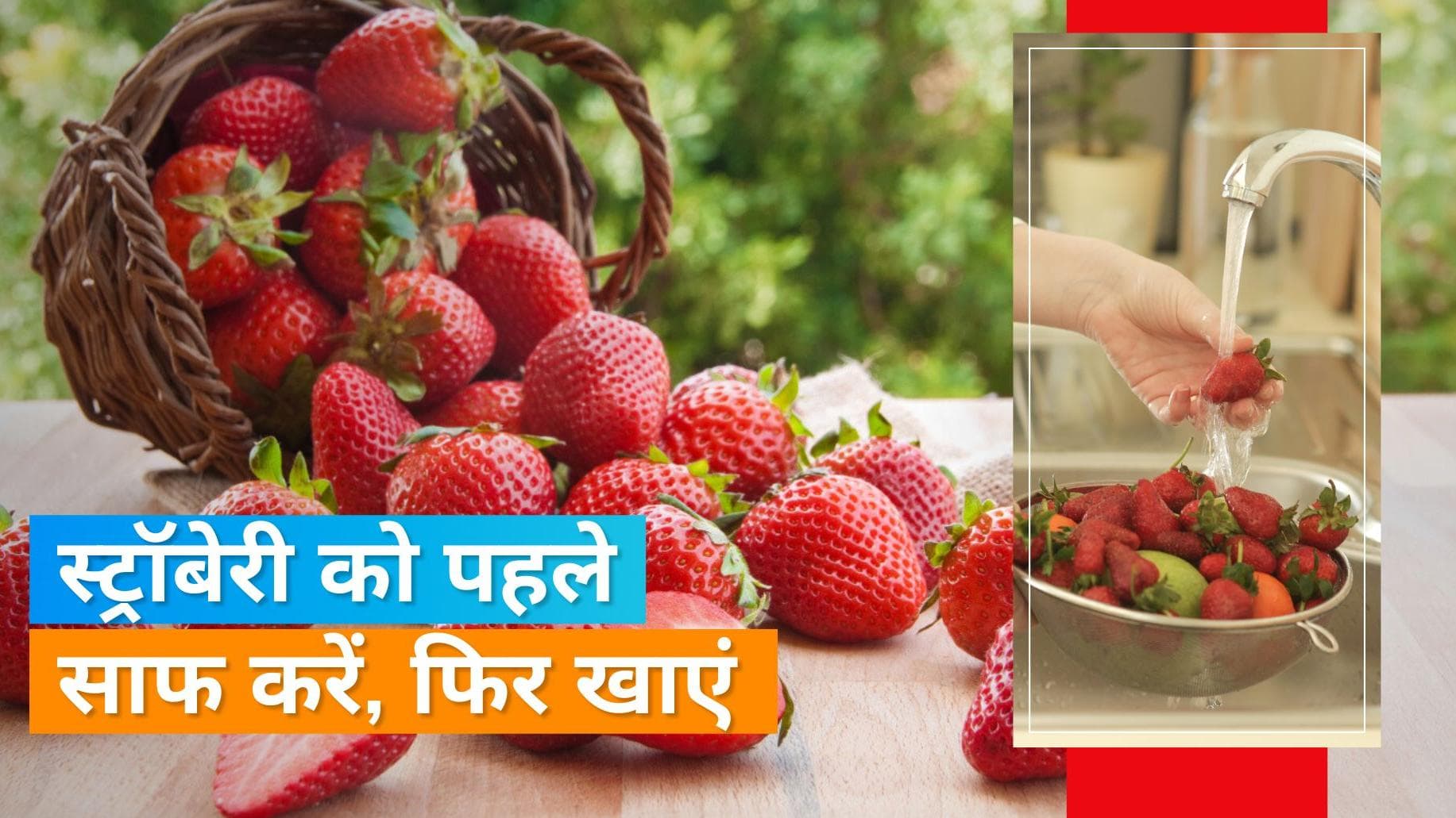 How To Clean Strawberries: स्ट्रॉबेरी लंबे समय तक नहीं होंगे खराब, मास्टरशेफ से जानें साफ करने का तरीका