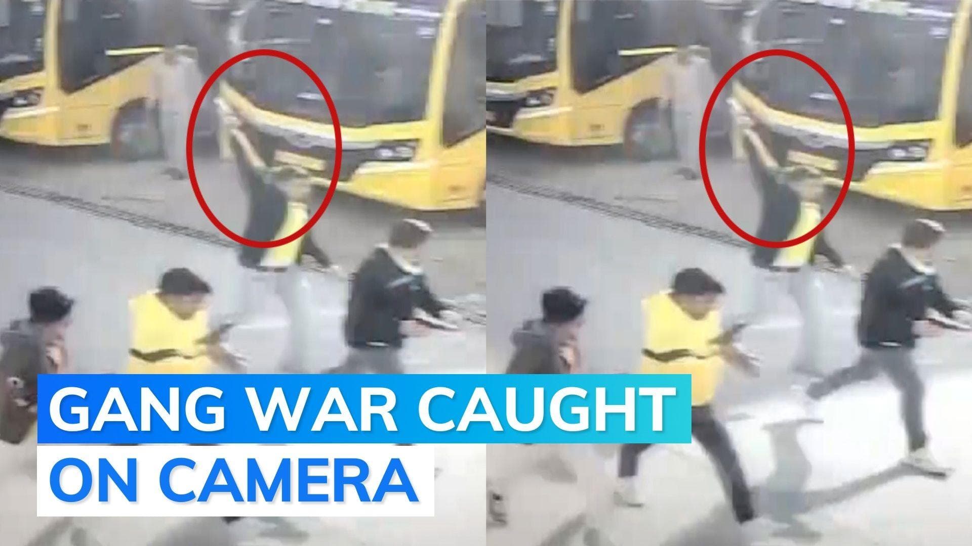 Video: shootout in Rajasthan's Sikar, history sheeter Raju Theth shot dead 