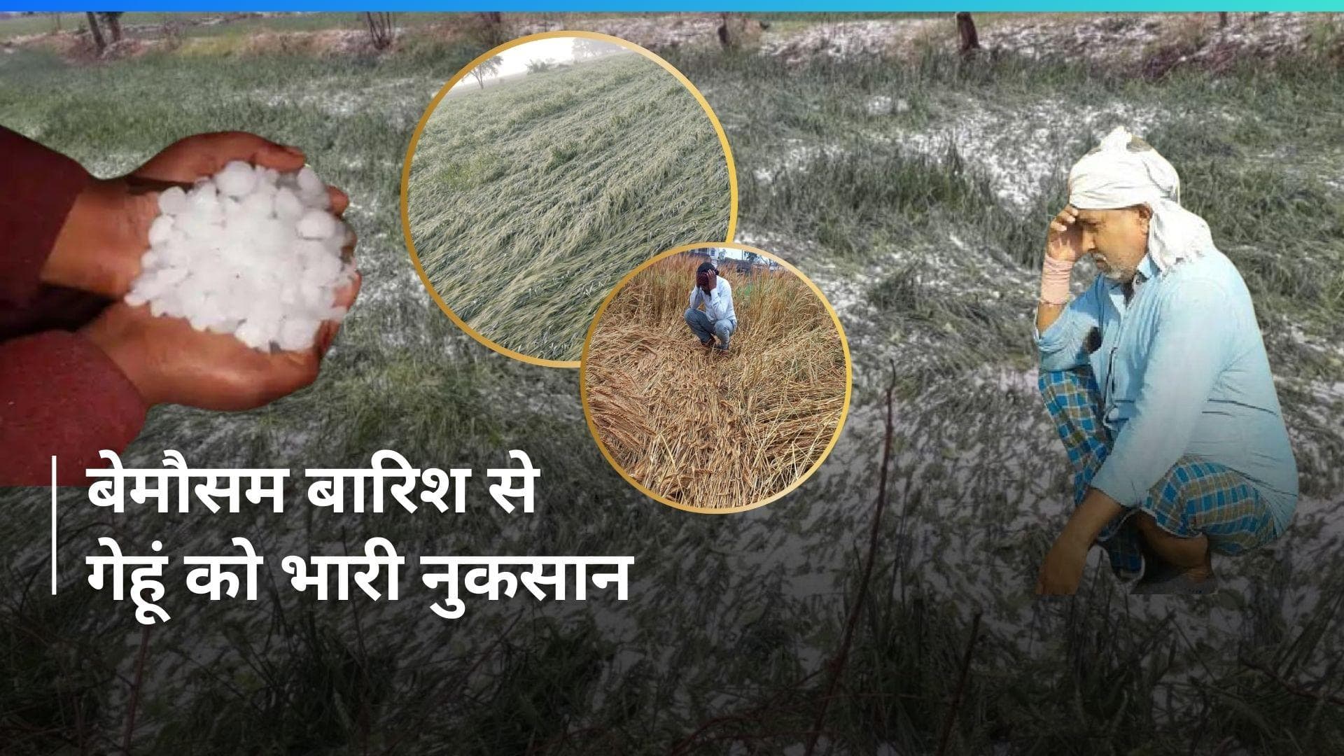 Weather Update : यूपी के कई इलाकों में बारिश और ओलावृष्टि, गेहूं की फसल को हुआ नुकसान