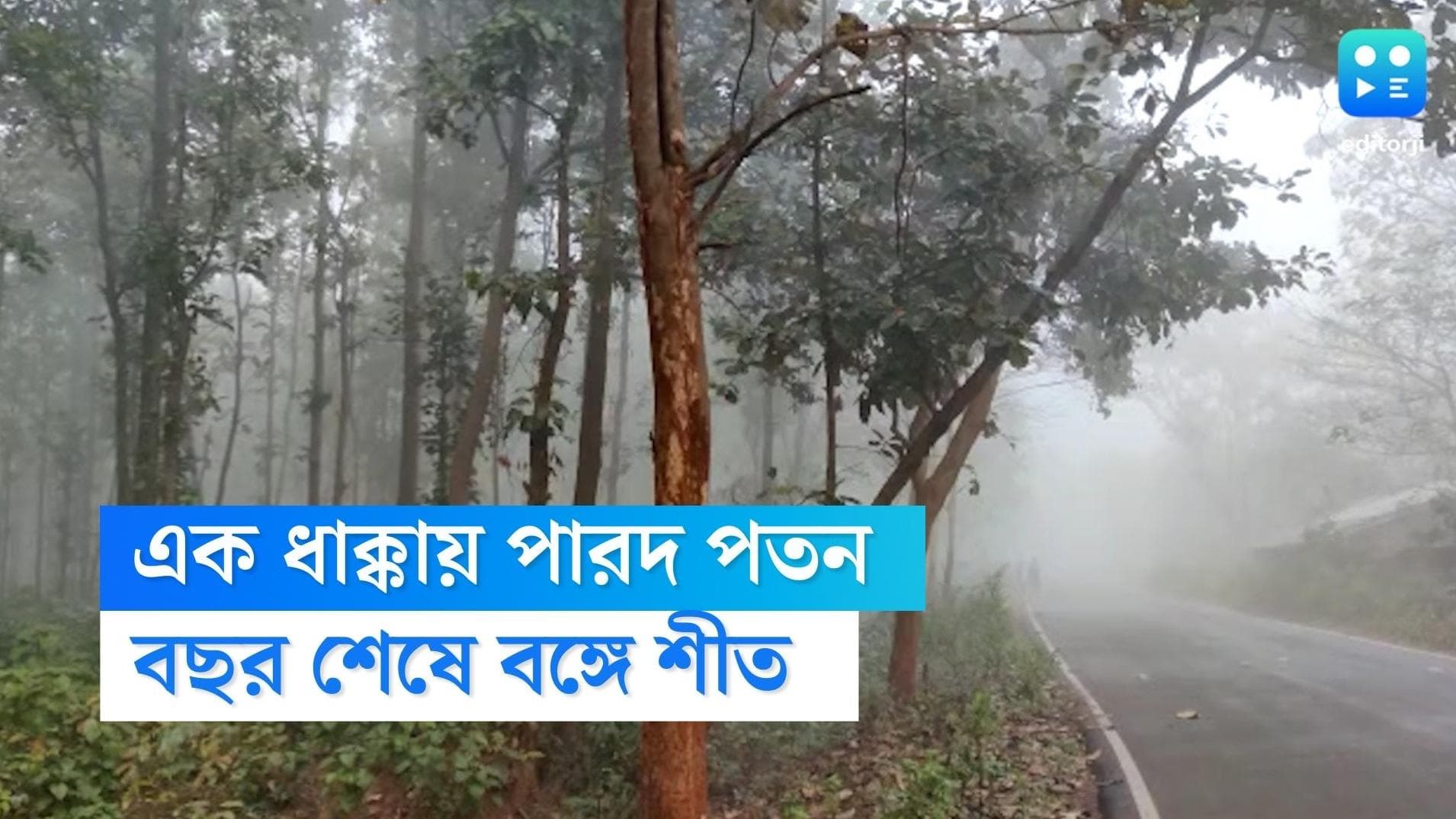West Bengal Weather Update: বছর বিদায়ের সময় ফিরল শীত, এক ধাক্কায় ৬ ডিগ্রি পারদ পতন