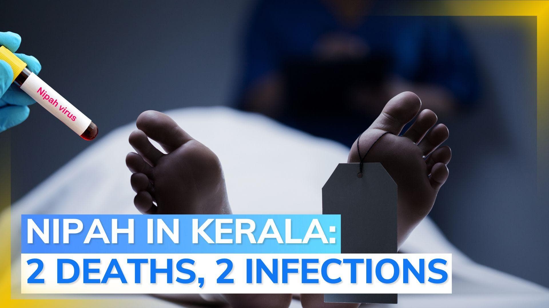 Nipah virus in Kerala Bangladesh variant, high mortality rate: state govt