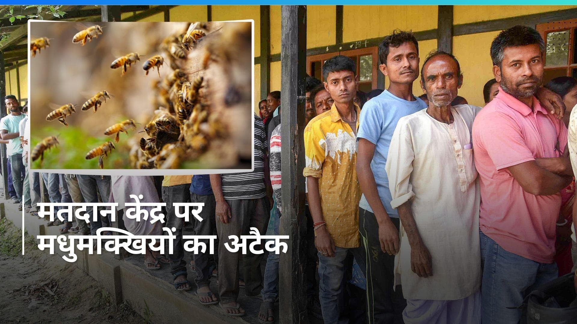 General Election 2024: त्रिपुरा के इस पोलिंग सेंटर पर मधुमक्खियों का हमला...महिलाएं सहित 15 लोग घायल