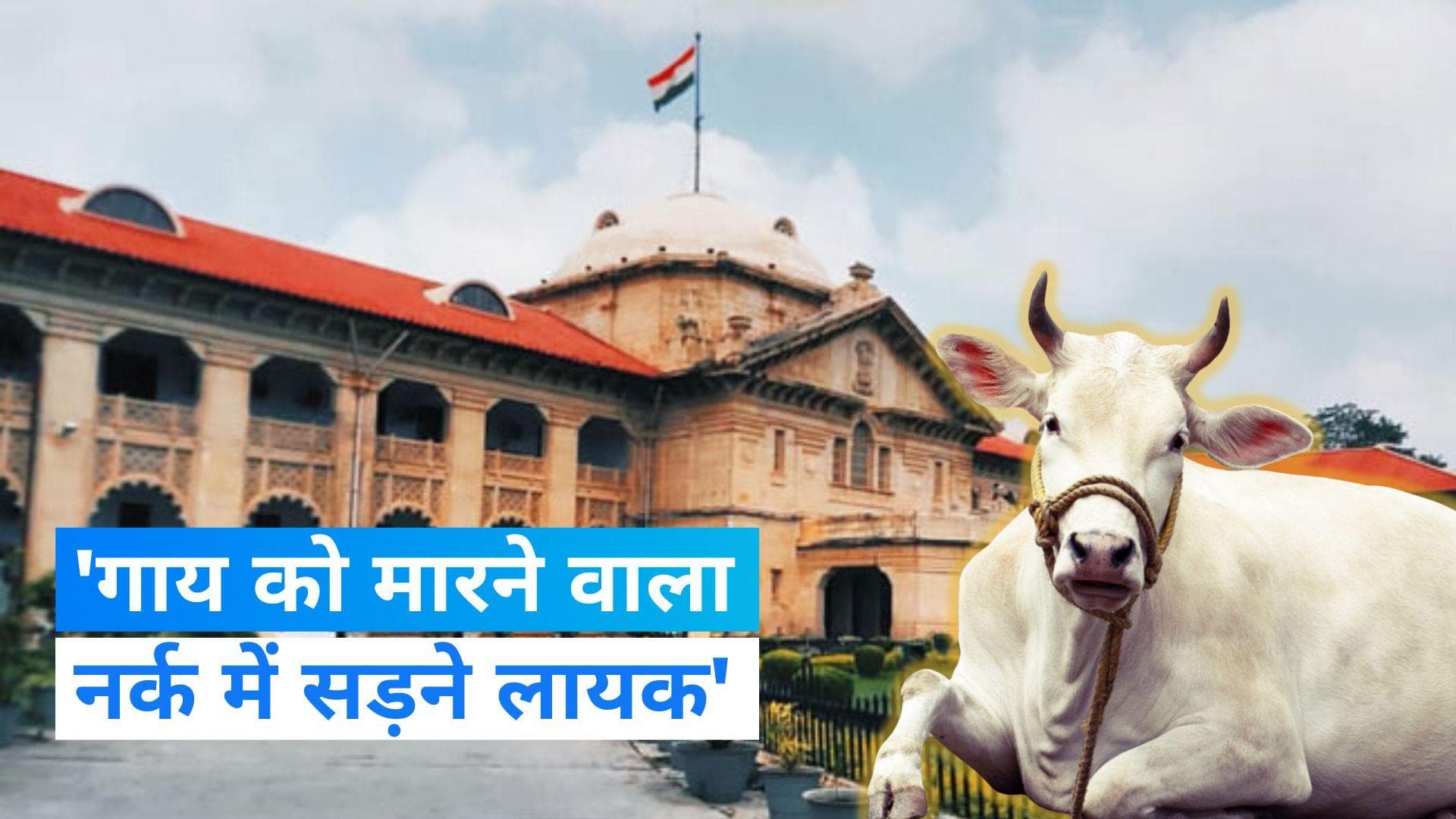 Cow Slaughter: इलाहाबाद हाईकोर्ट के मुस्लिम जज ने कहा- नर्क में सड़ता है गाय की हत्या करने वाला