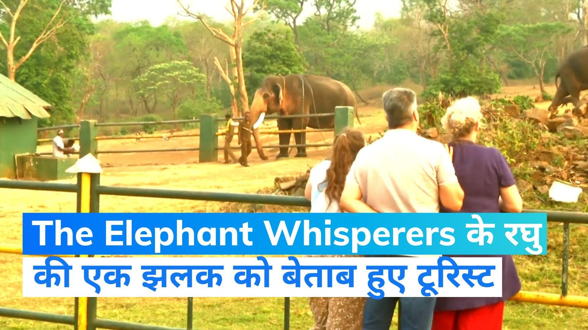 The Elephant Whisperers के रघु की एक झलक पाने को बेताब हुए टूरिस्ट, पहुंच रहे थेप्पाकडु एलिफैंट कैंप...