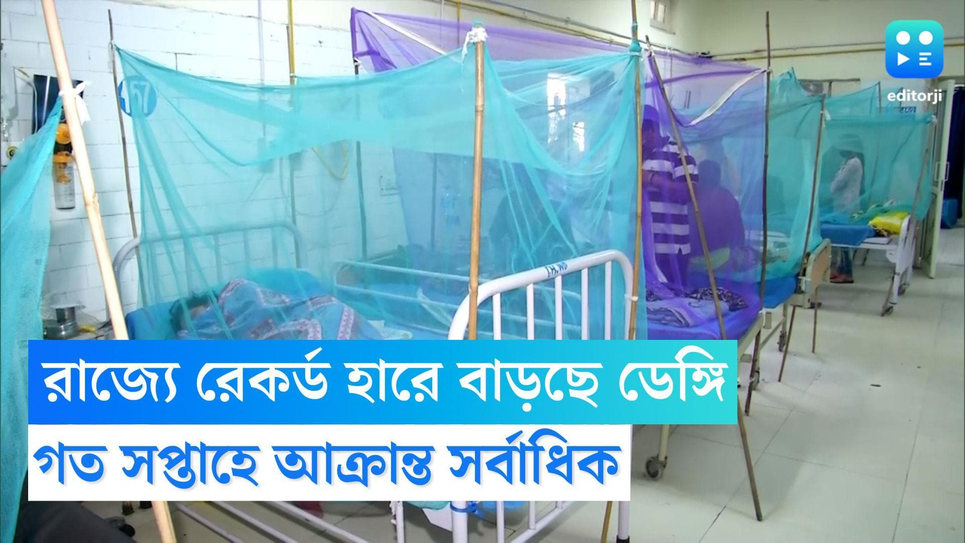 Dengue Cases in Bengal: রাজ্যে ৬ বছরের রেকর্ড ভাঙল ডেঙ্গি, গত সপ্তাহে আক্রান্ত সর্বাধিক