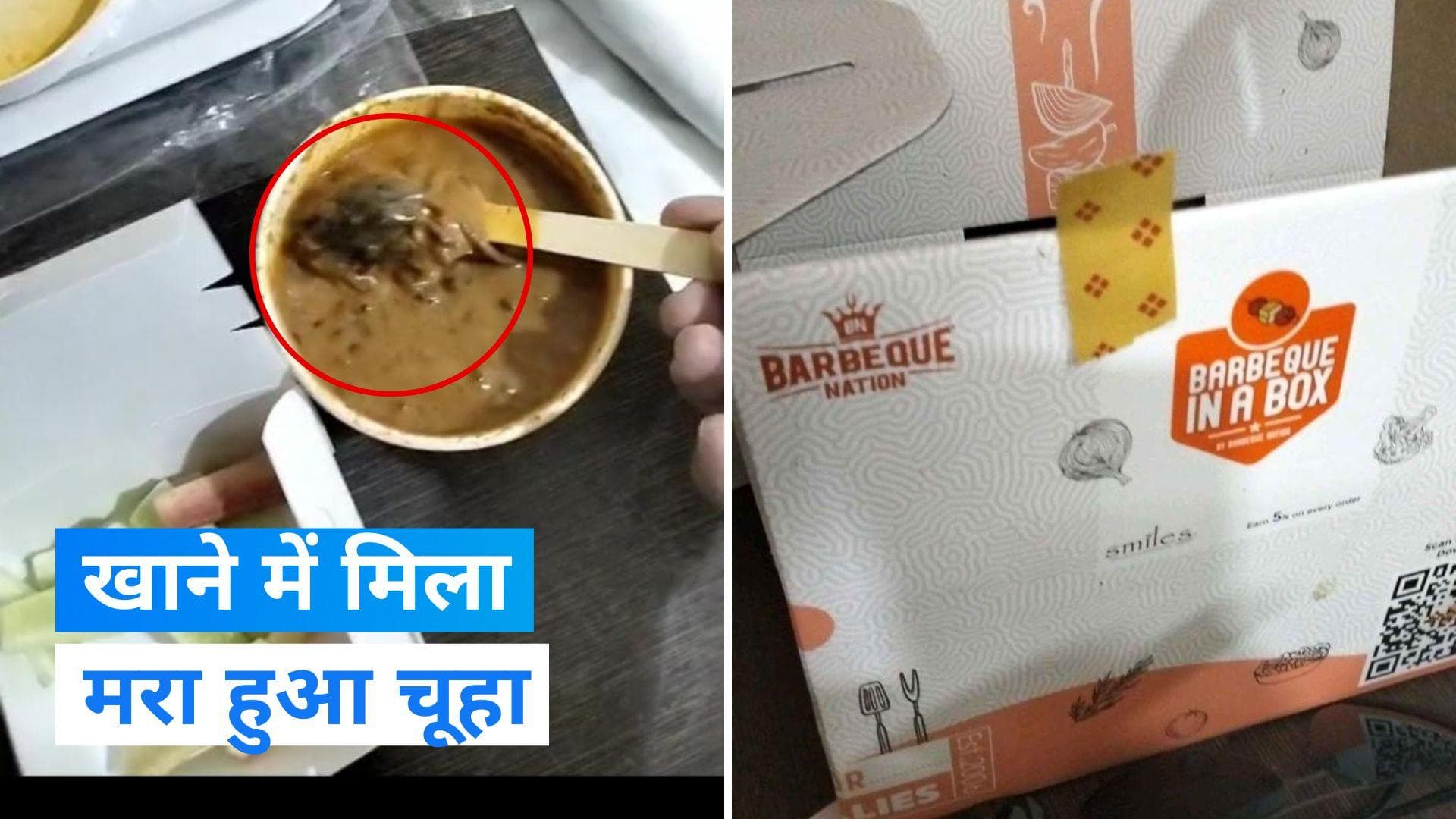 Mumbai में बारबेक्यू नेशन से मंगाए खाने में निकला मरा हुआ चूहा! अस्पताल पहुंचा शख्स