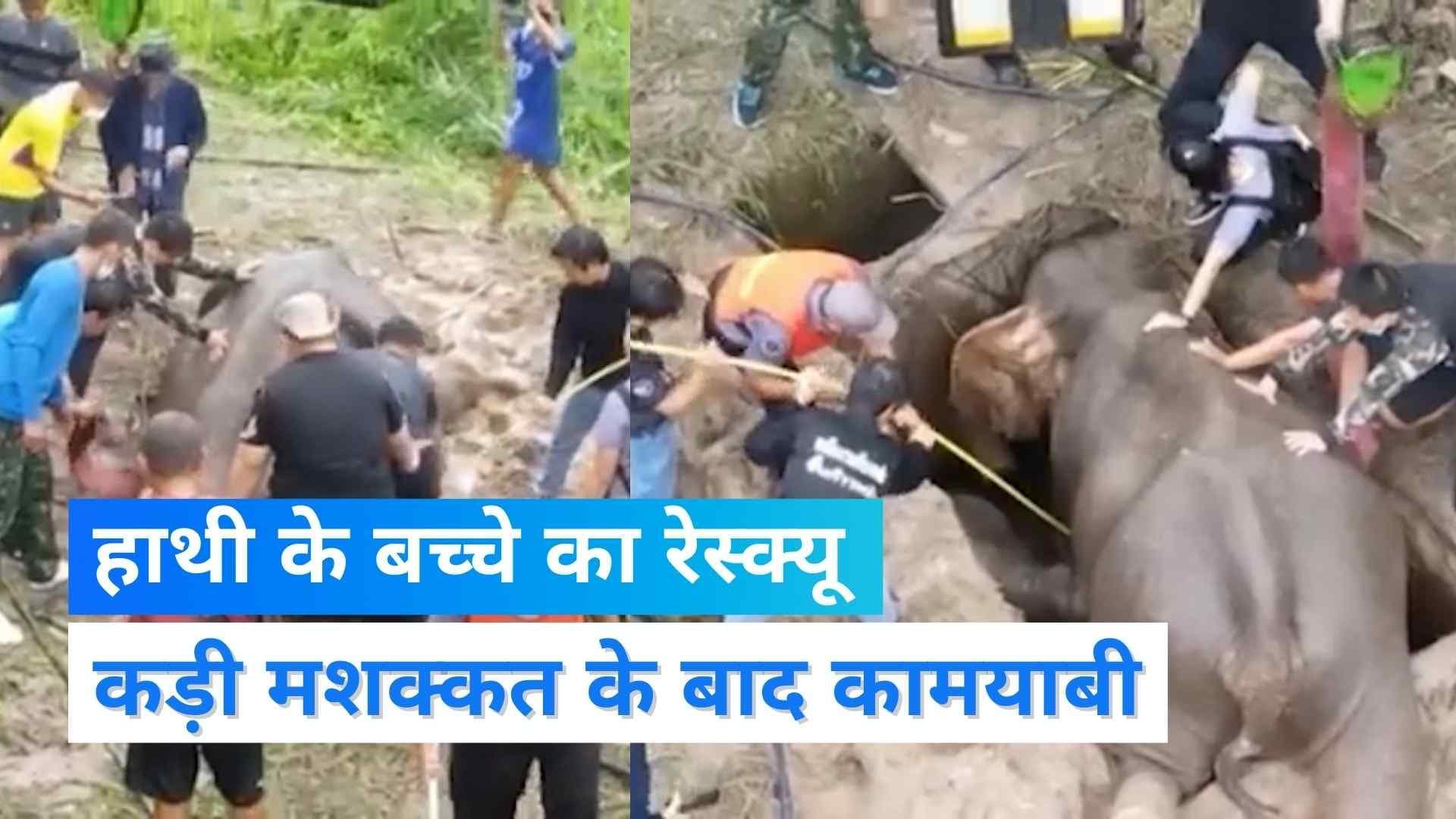 Thailand: मेनहोल से गिरा हाथी का बच्चा, 7 घंटे की मशक्कत के बाद हुआ रेस्क्यू 